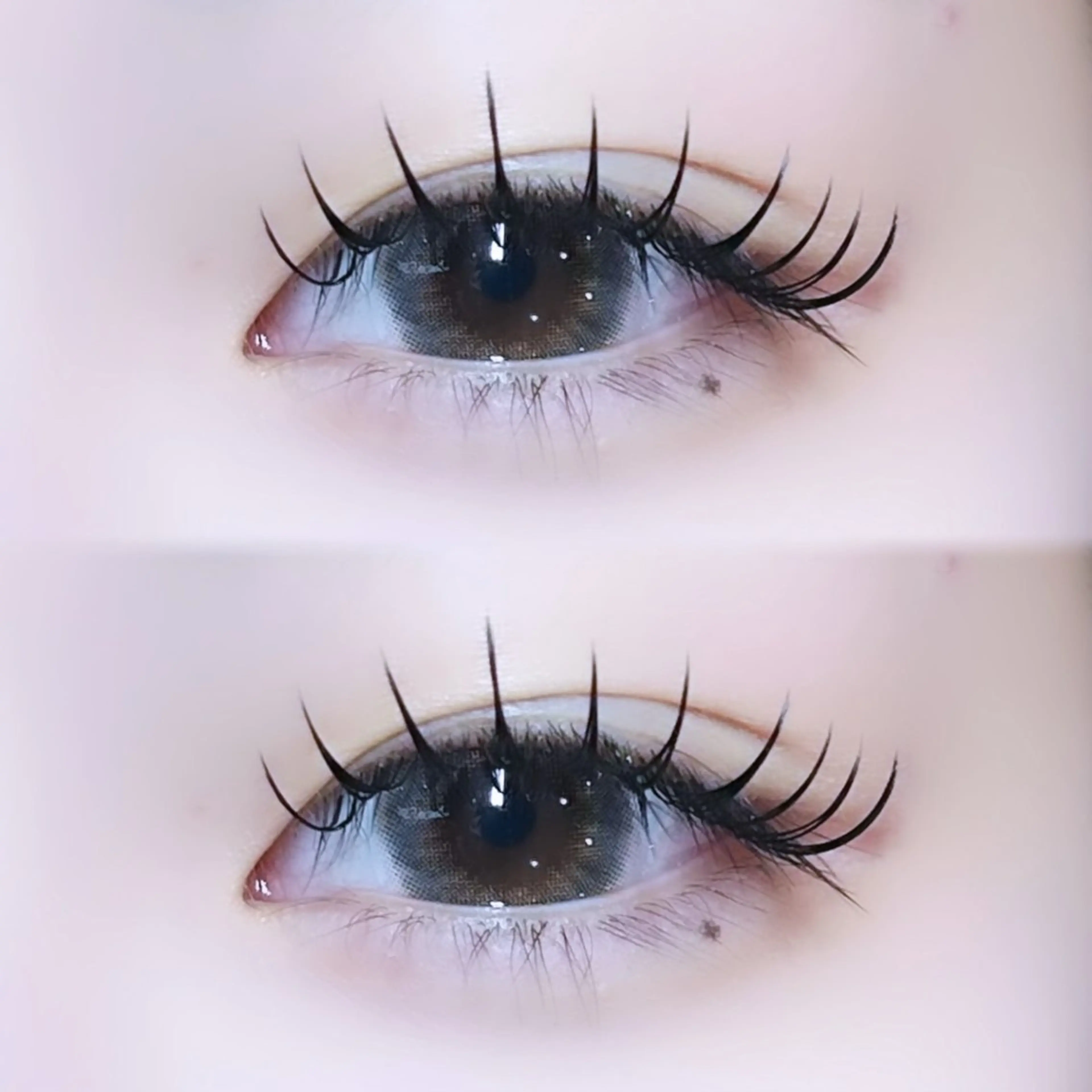 フラットラッシュ120本　オフ代込み　Lカール別途550円の写真