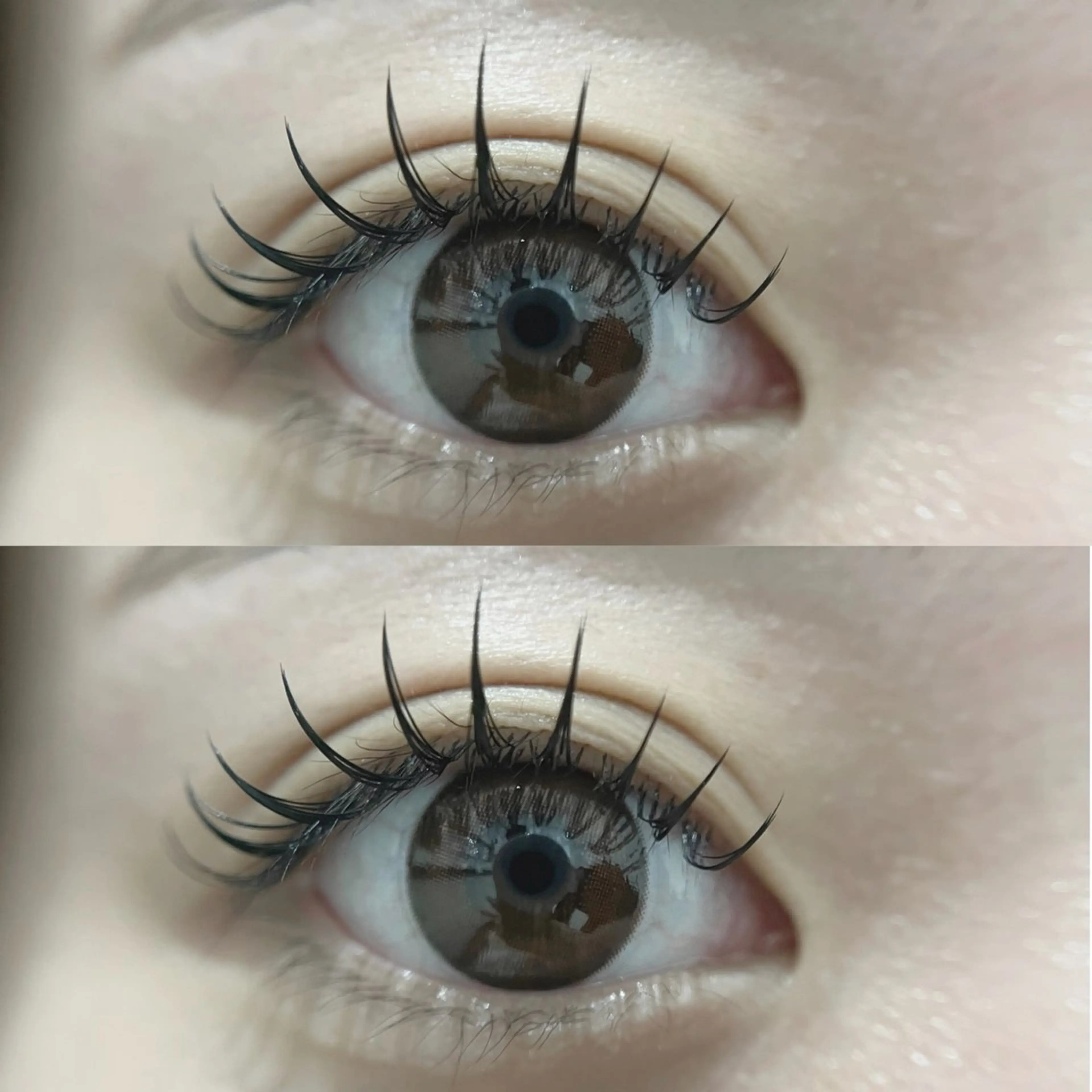 フラットラッシュ　90分付け放題　(オフ込み)の写真