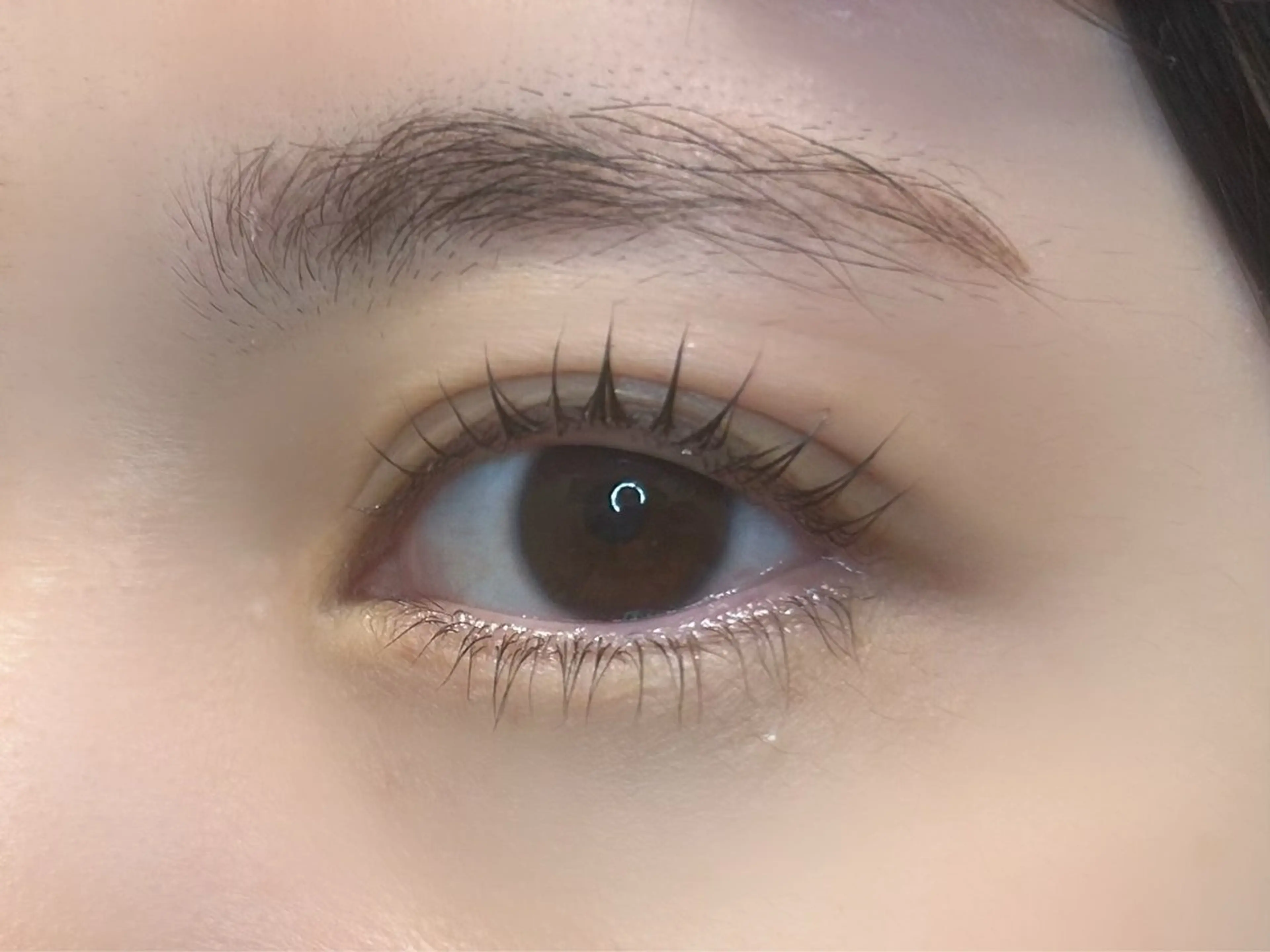 マツエク・マツパ 下まつげエクステ 一重×まつ毛パーマ マツパ 👑𝐊𝐢𝐧𝐠 心斎橋MIREI🌺のマツエク・マツパデザイン