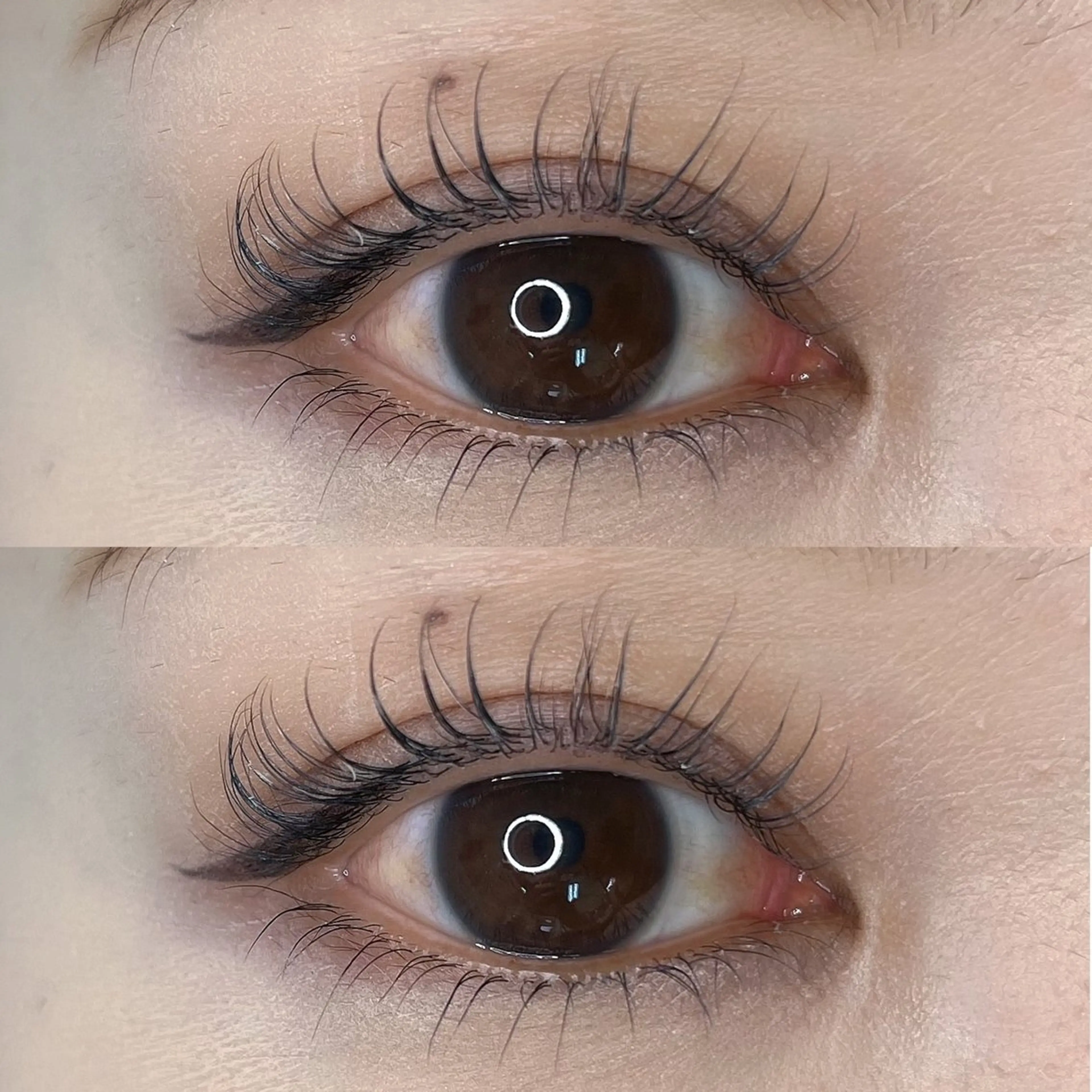 ⚠️下まつげのみ⚠️まつげパーマ🩷の写真