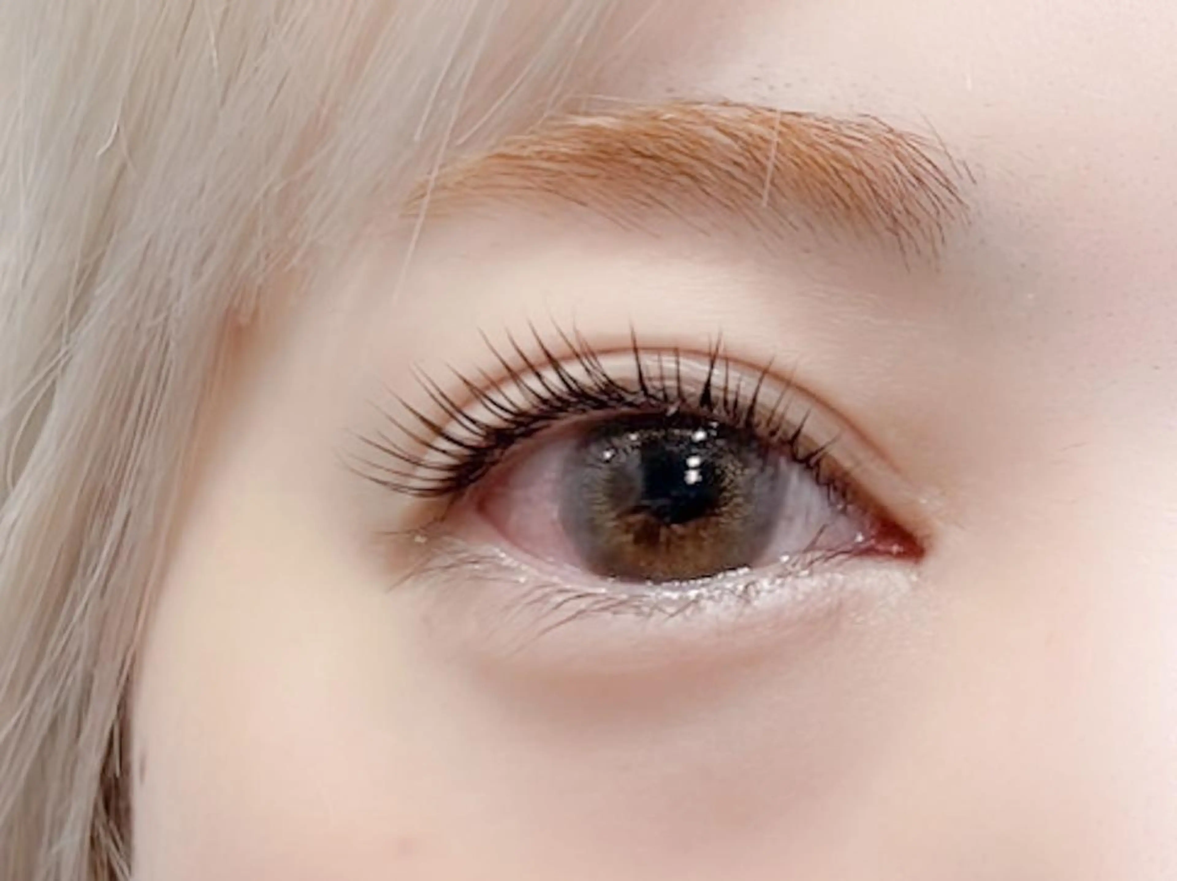 🩵ご新規様限定🩵次世代ラッシュリフト60分【￥3660】の写真