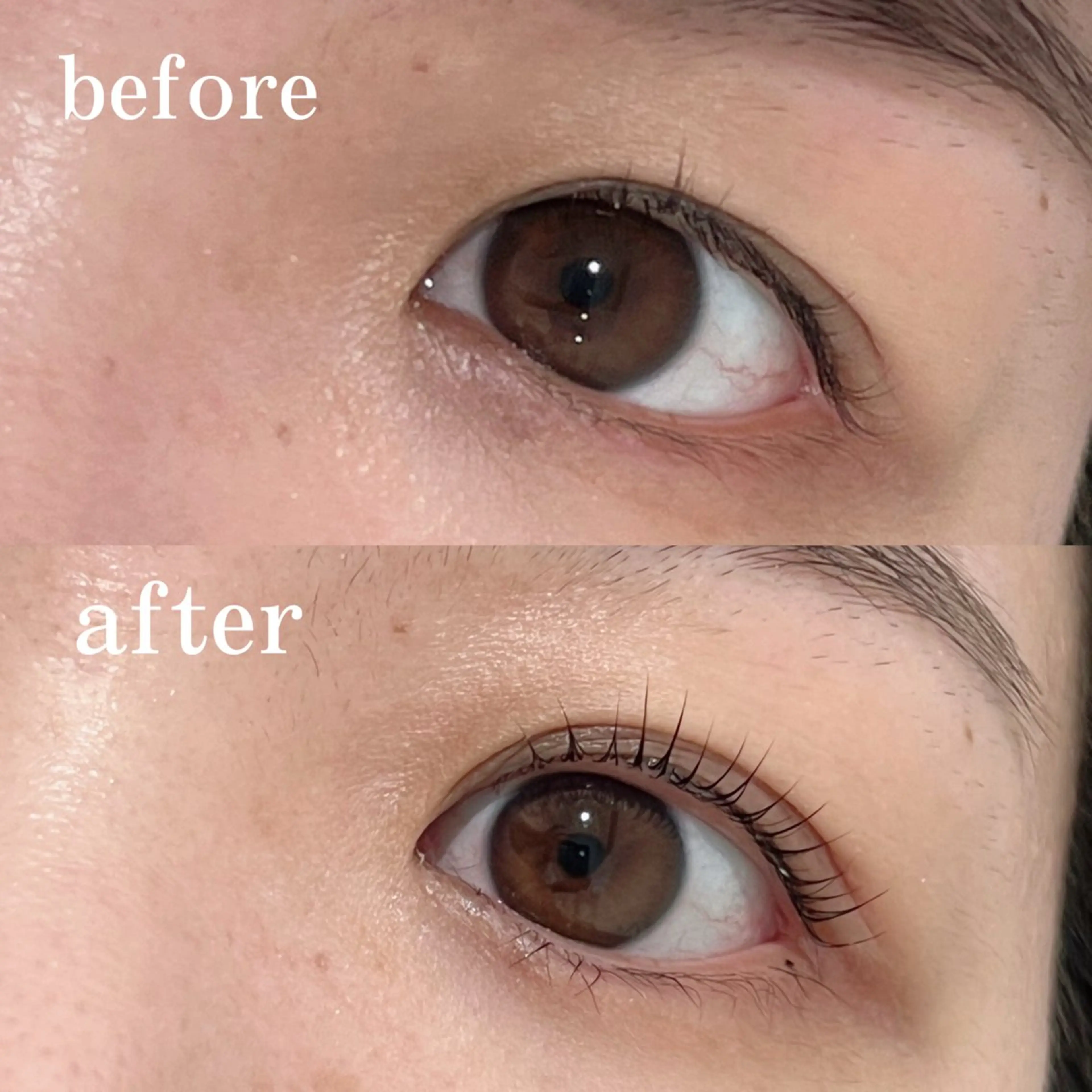 マツエク・マツパ パリジェンヌラッシュリフト me curl 各務原店所属・me curl 各務原店のマツエク・マツパデザイン