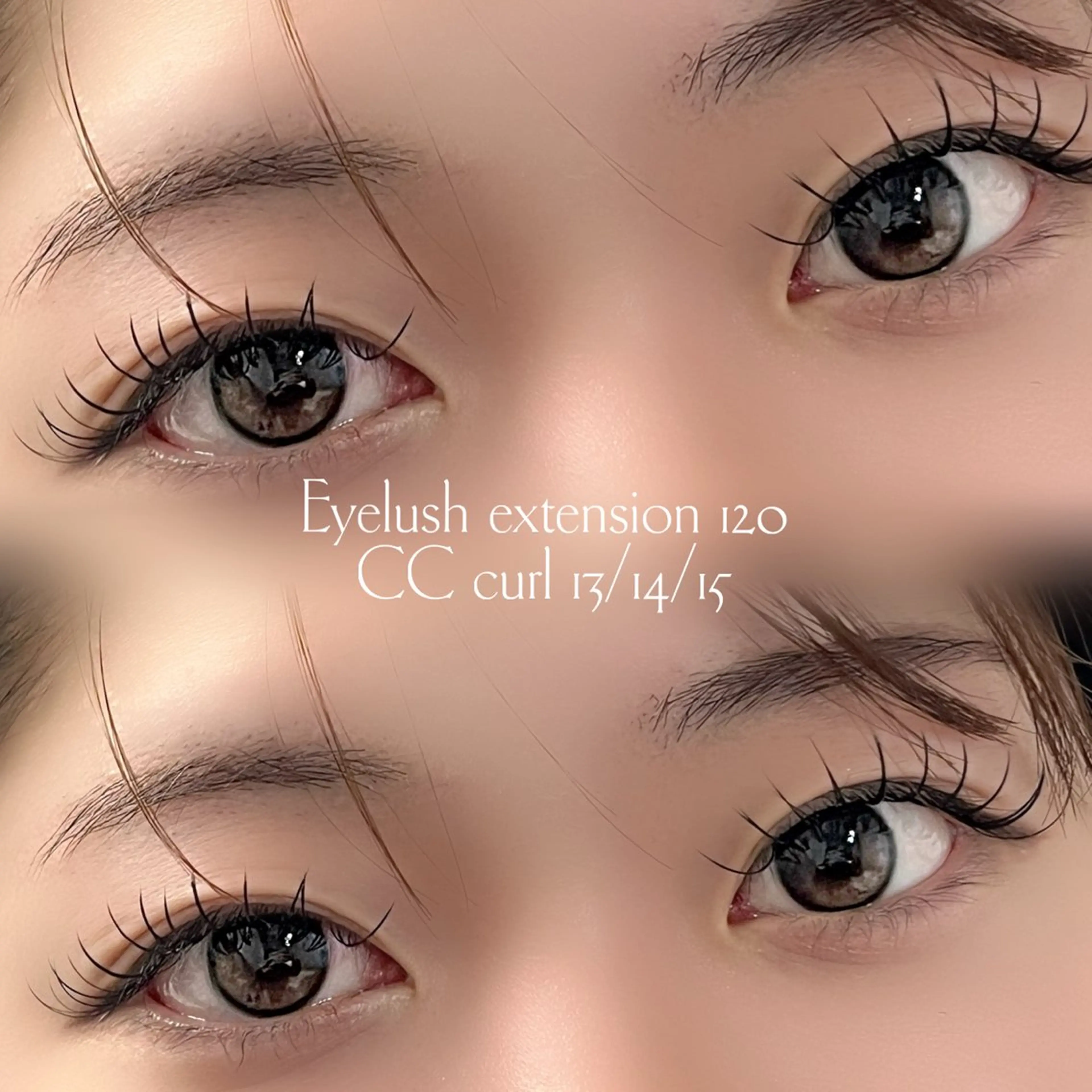 フラットラッシュ100​〜​120本🎀(オフあり)の写真