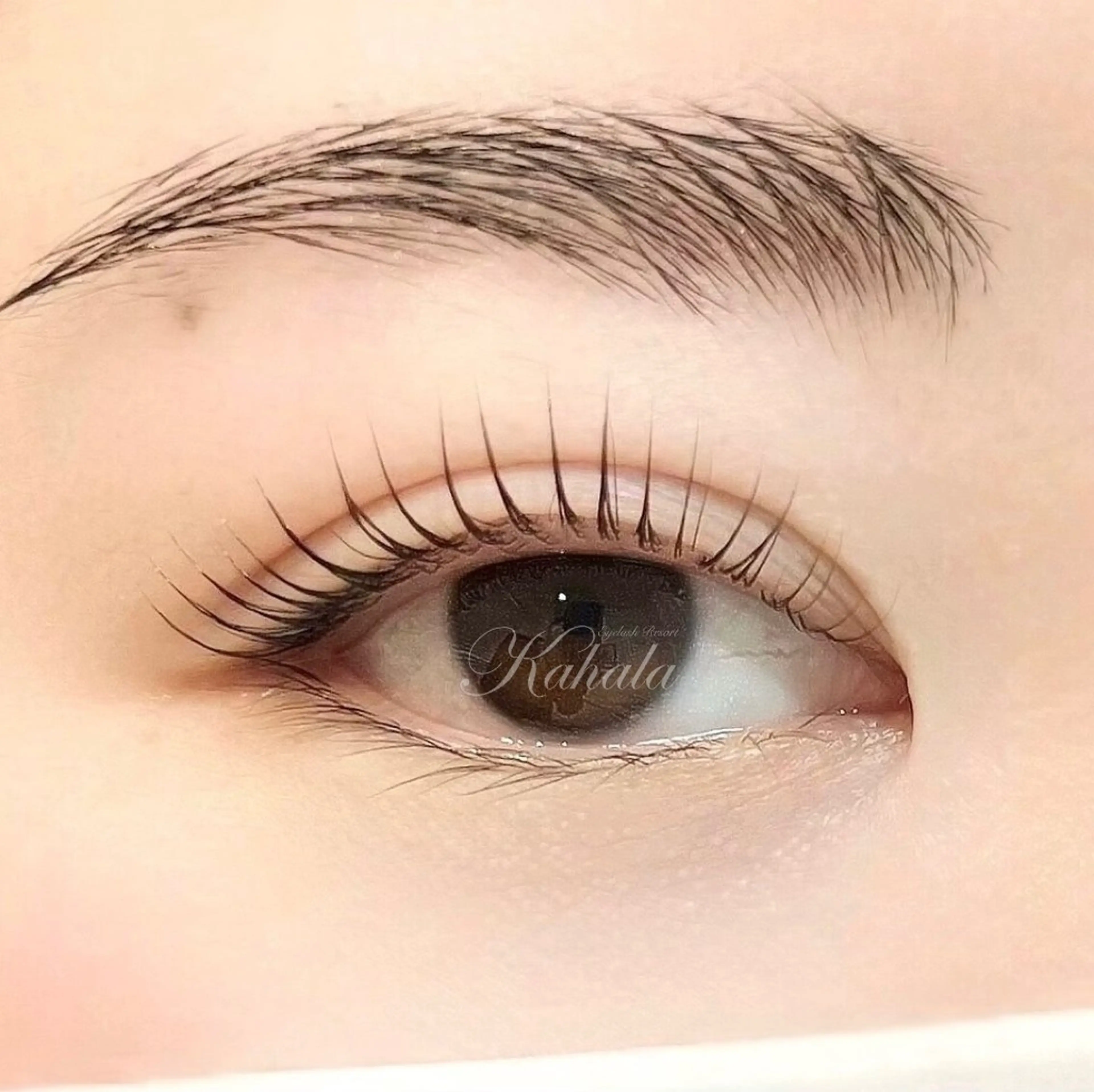 マツエク・マツパ Kahala KOMADAのマツエク・マツパデザイン