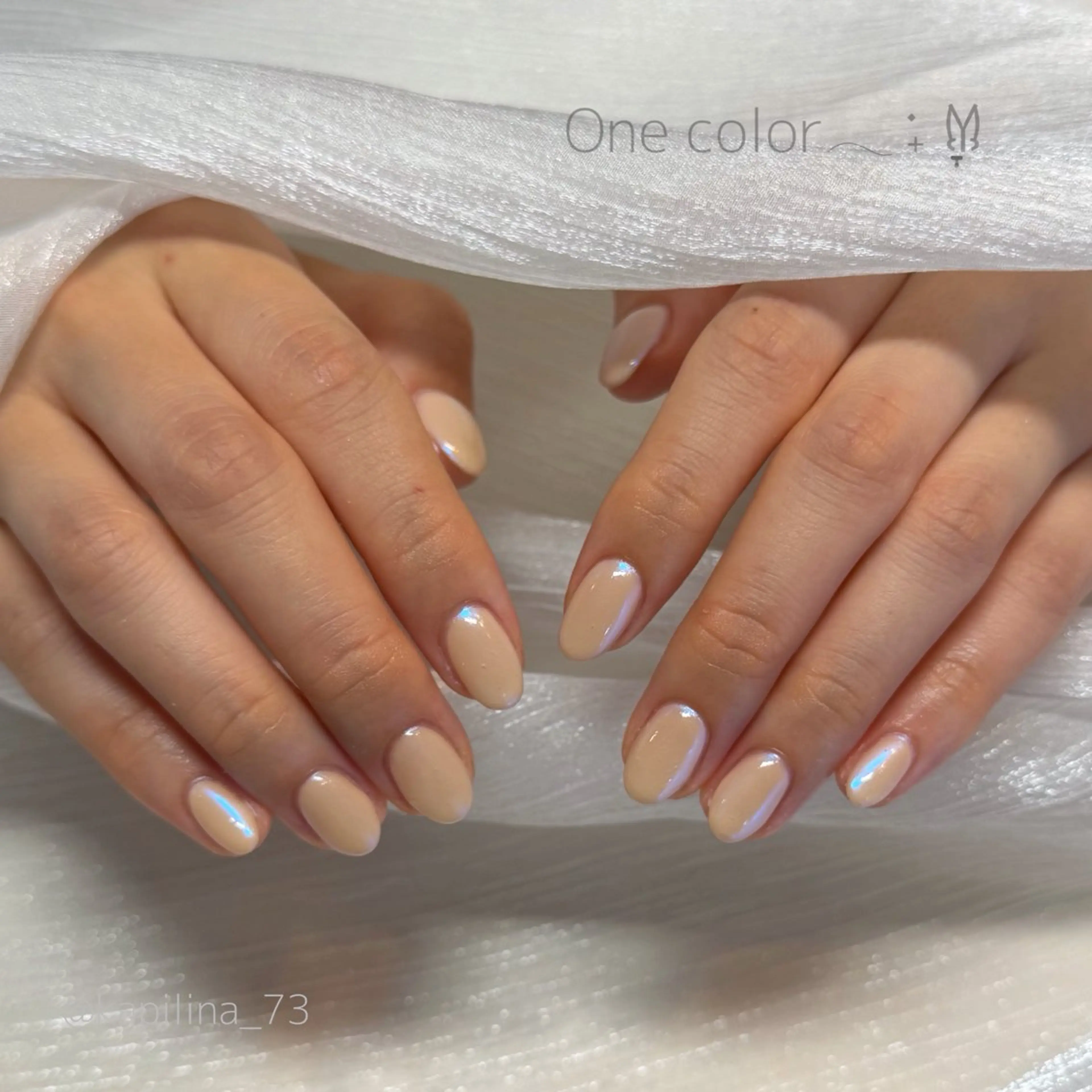 ネイル オーロラネイル ハンドネイル Kapilina🌺 MOMOのネイルデザイン