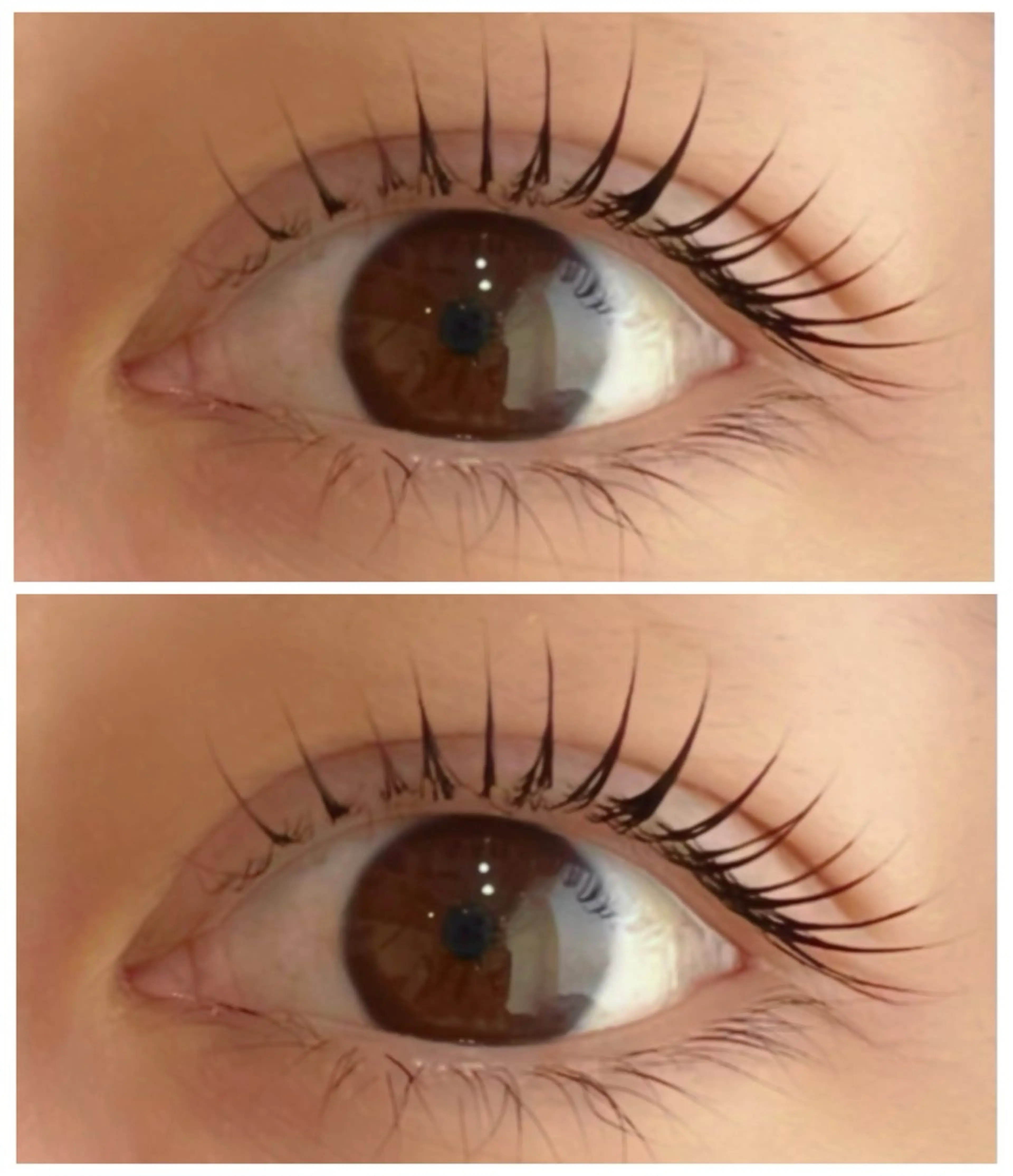 マツエク・マツパ マツパ DELICAT 齊藤未歩のマツエク・マツパデザイン