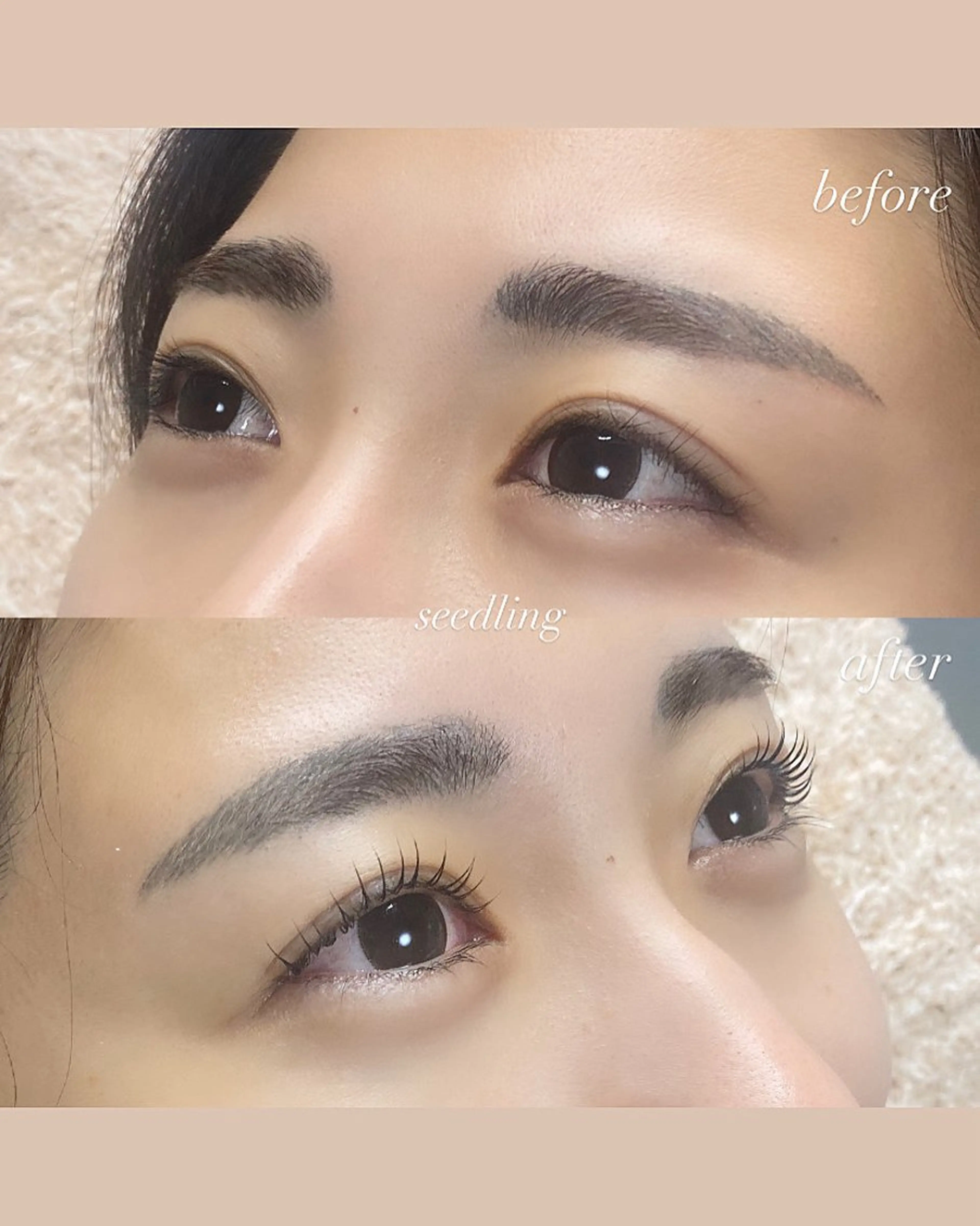 マツエク・マツパ マツパ シードリン 府内店 杉田のマツエク・マツパデザイン