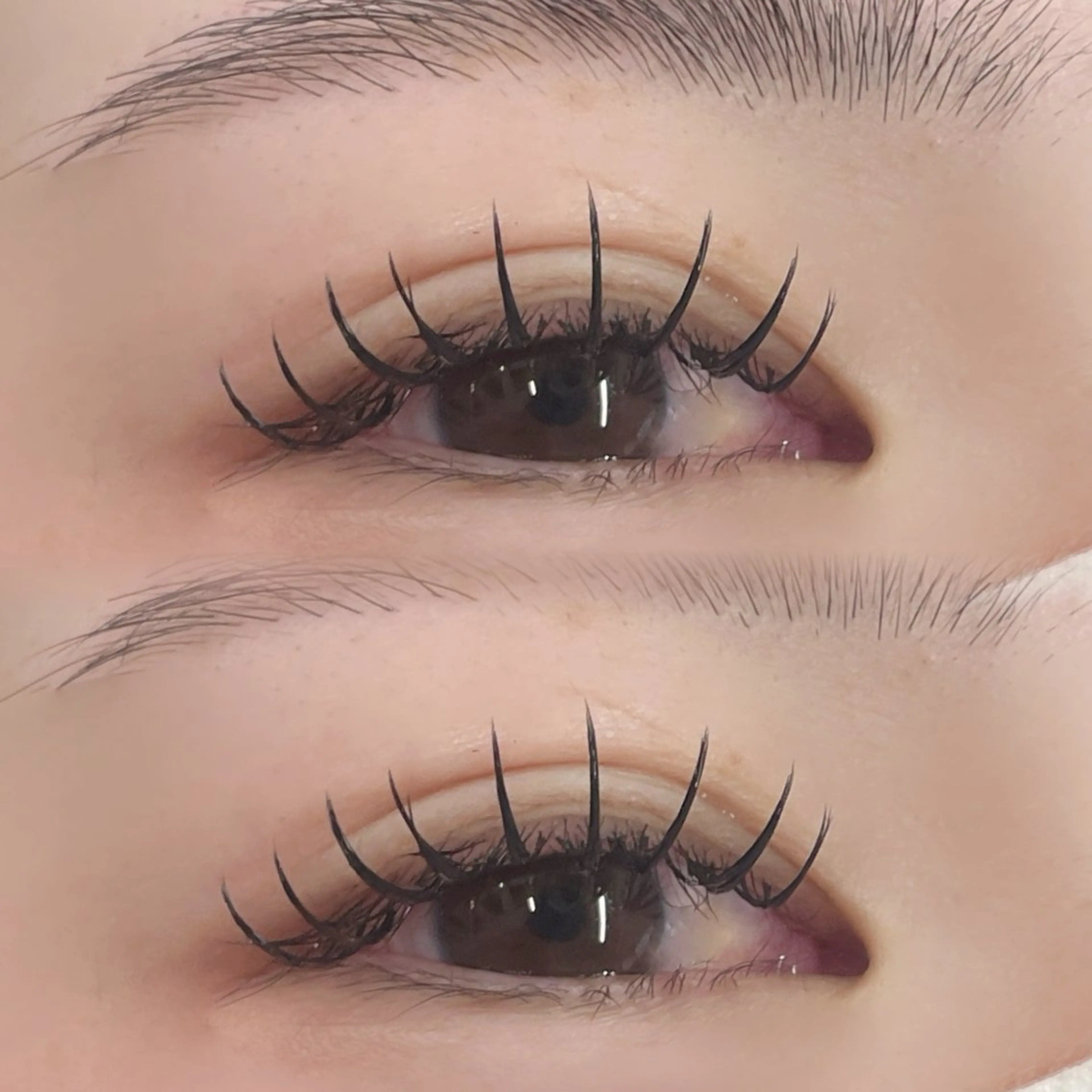 ダブルフラット80束💖付け足し不可の写真