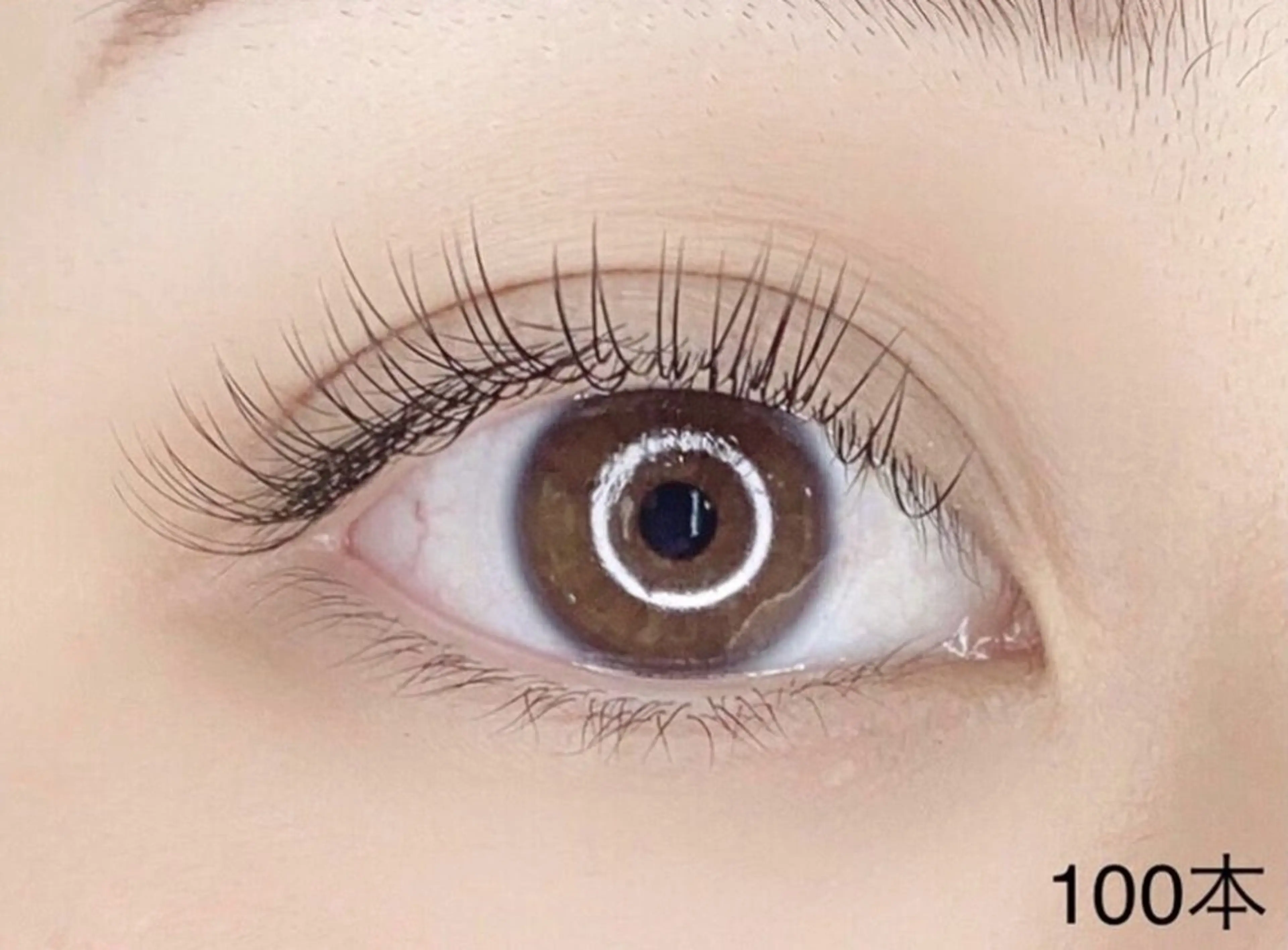 平日限定【新規100本オフ無料】セーブル/フラットラッシュ¥4400の写真