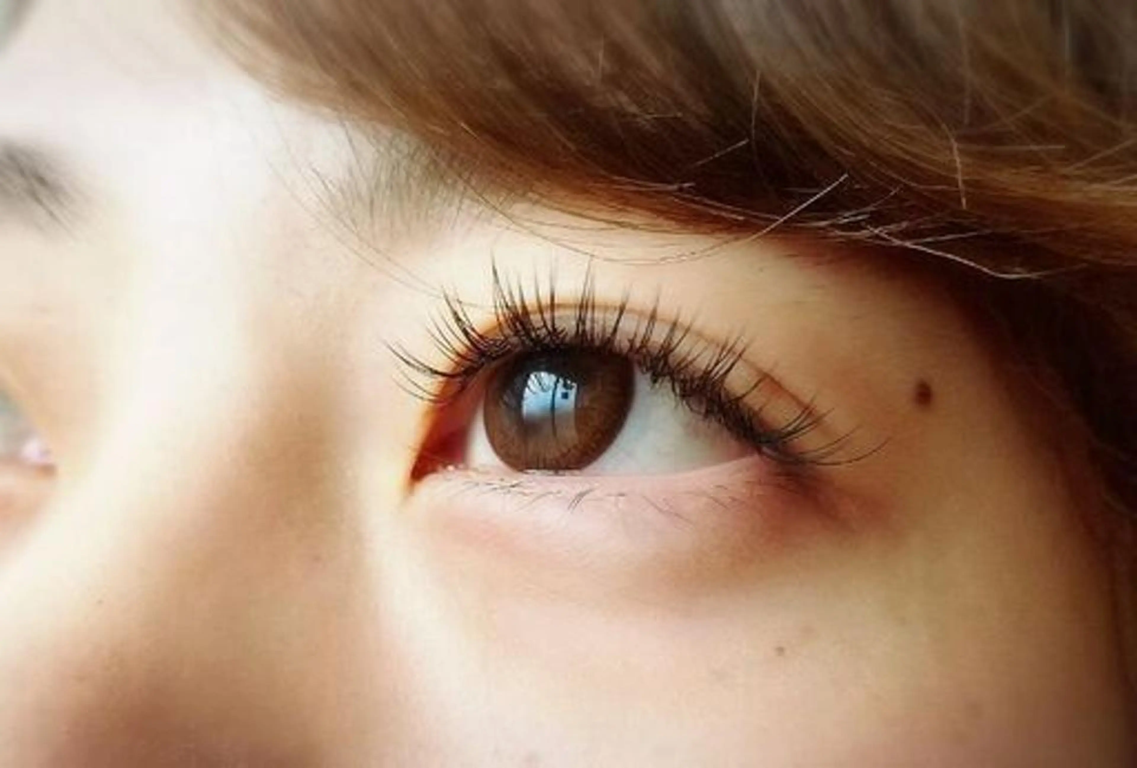 マツエク・マツパ フラットラッシュ アイブロウ/まつぱ T-lash恵比寿店のマツエク・マツパデザイン