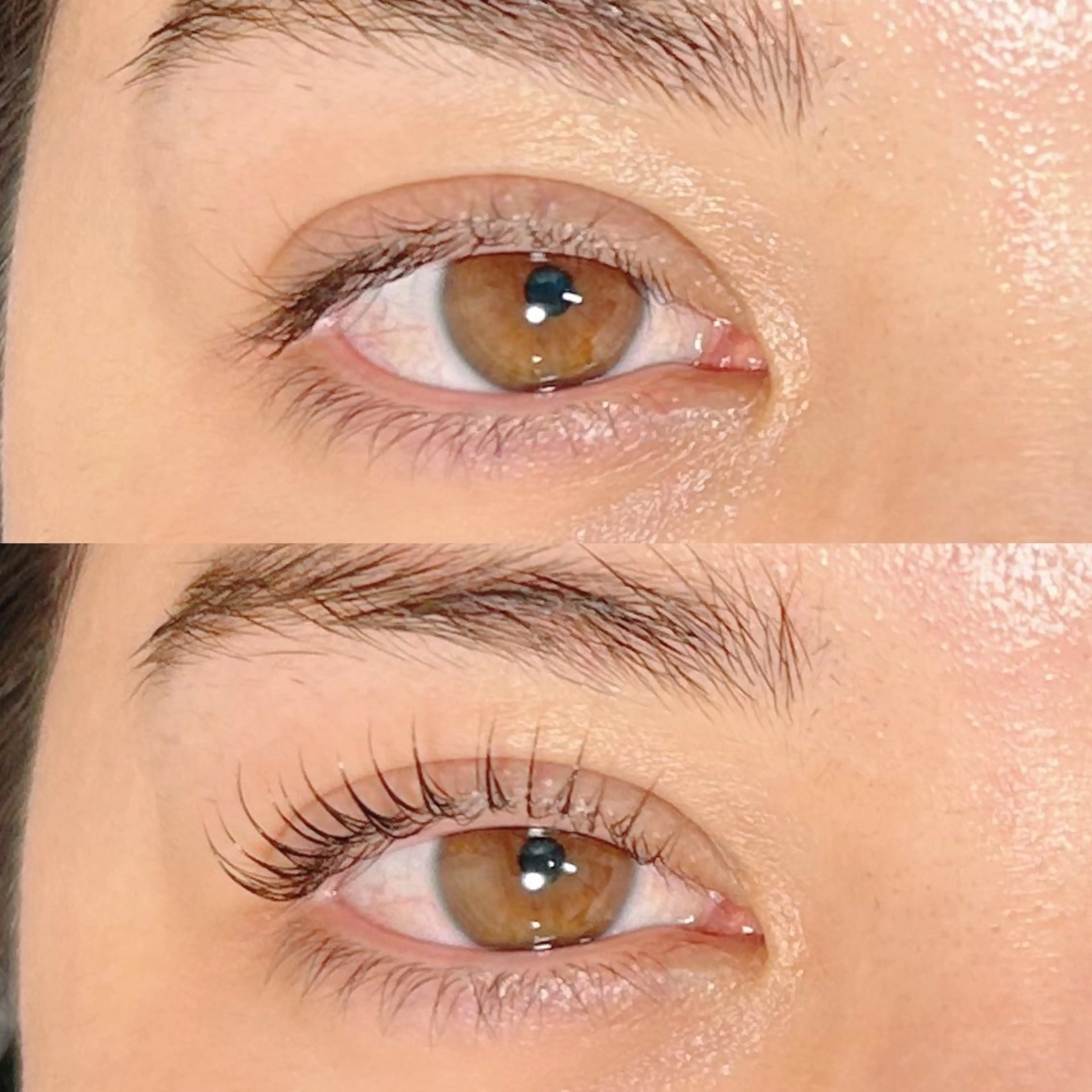 ãããšã¯ã»ããã ããã ððŒððð ððžðâã®ãããšã¯ã»ããããã¶ã€ã³