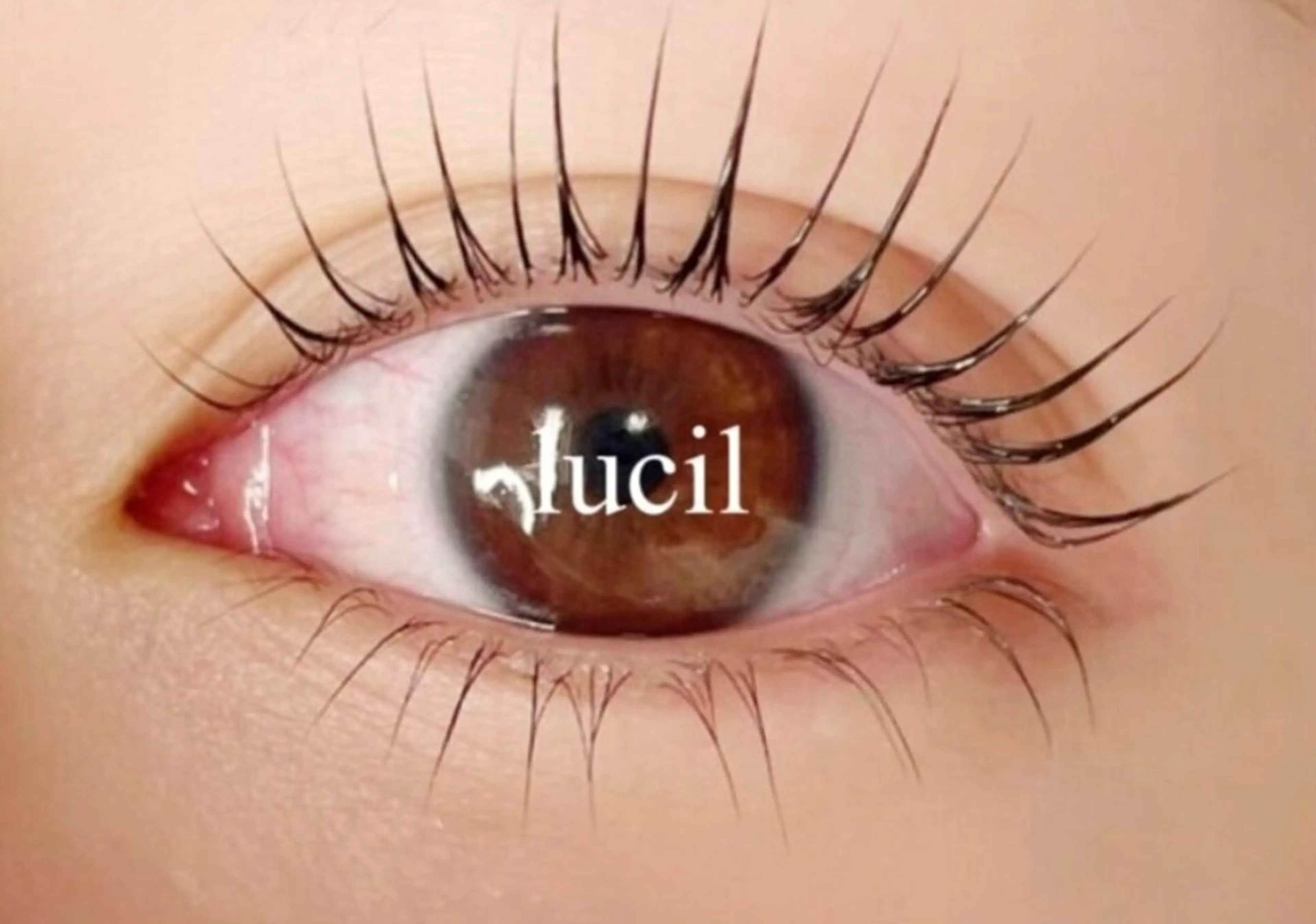 マツエク・マツパ lucil 岡部の眉毛・アイブロウイメージ