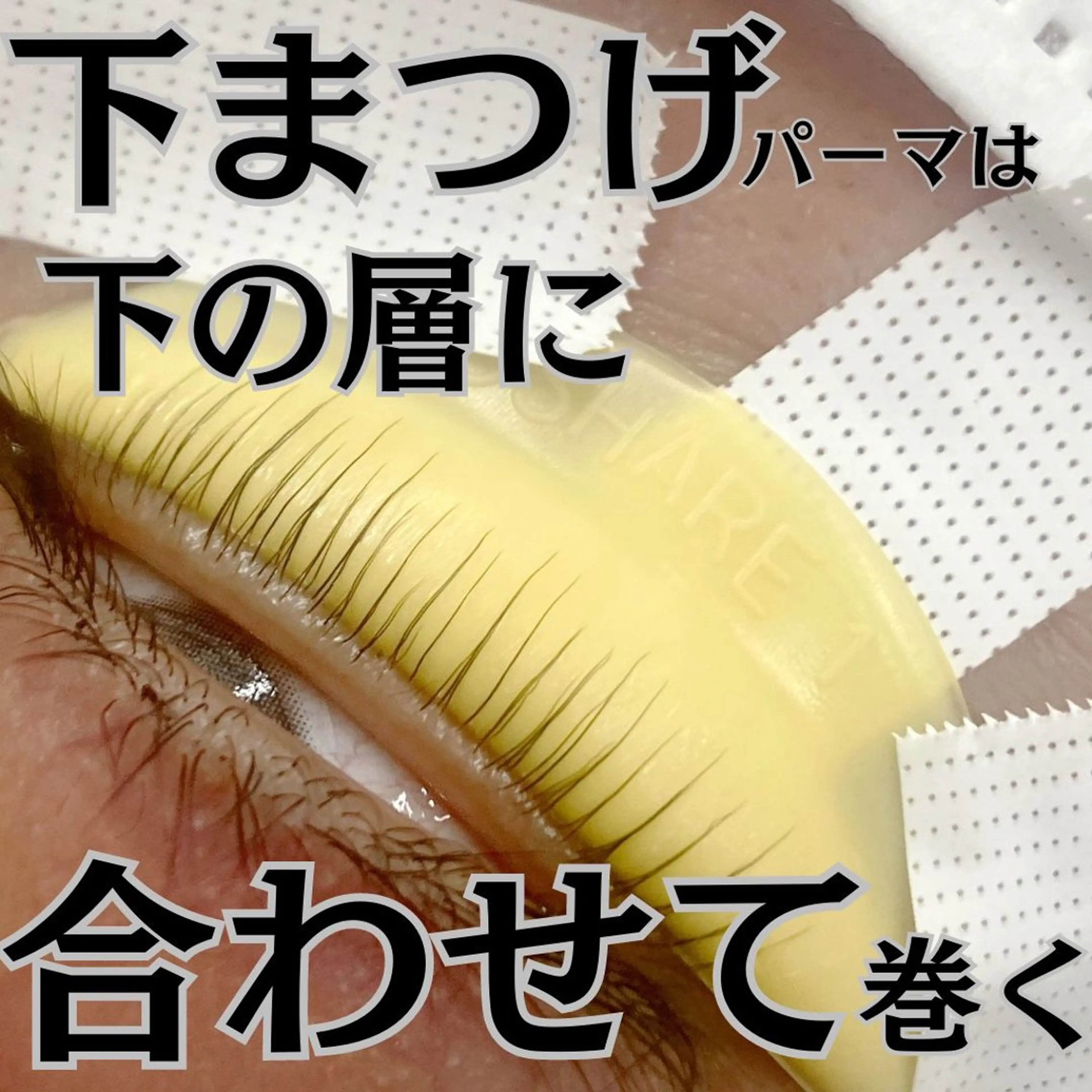 マツエク・マツパ マツパ フジ ワラのマツエク・マツパデザイン