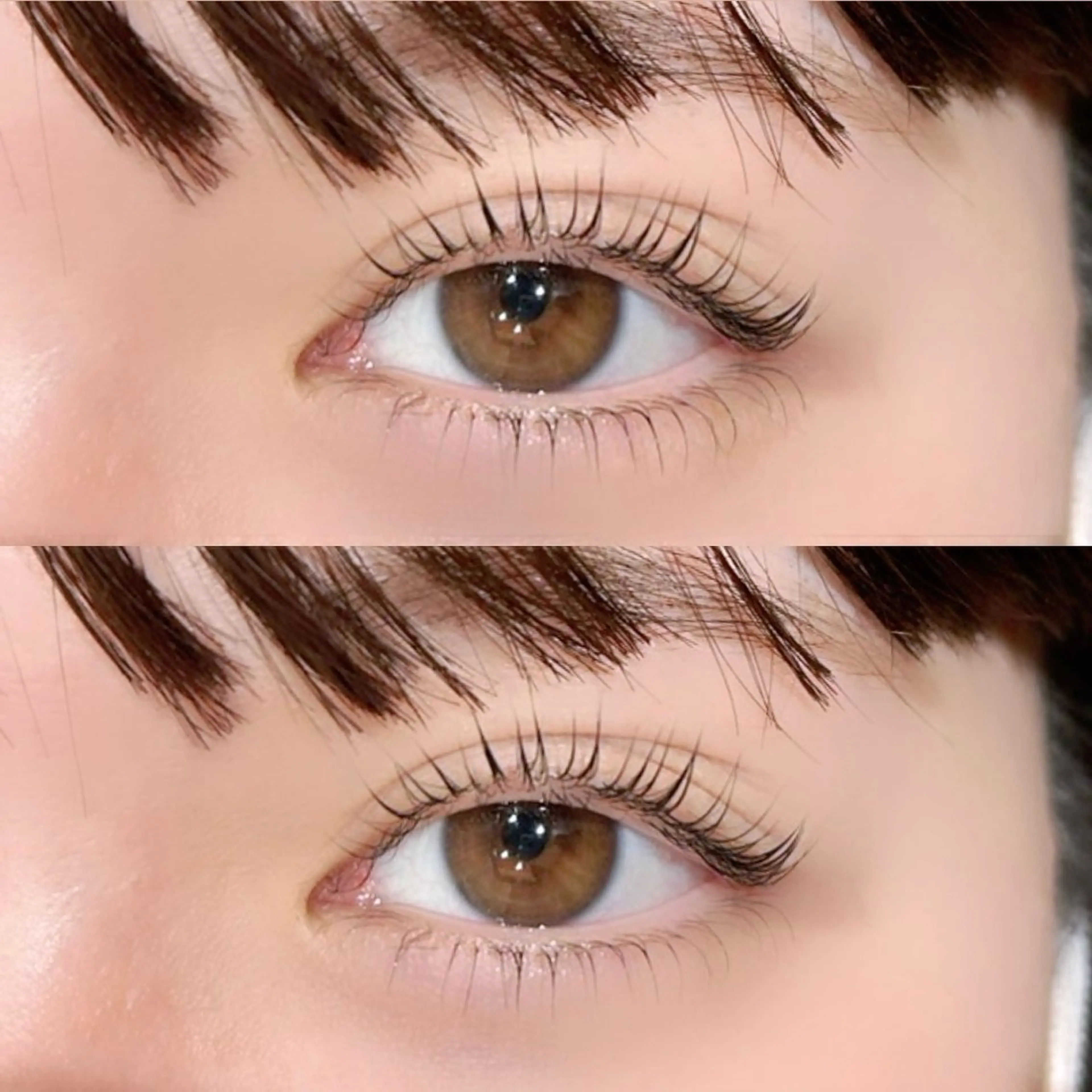 🎀上下パリジェンヌラッシュリフト🎀の写真