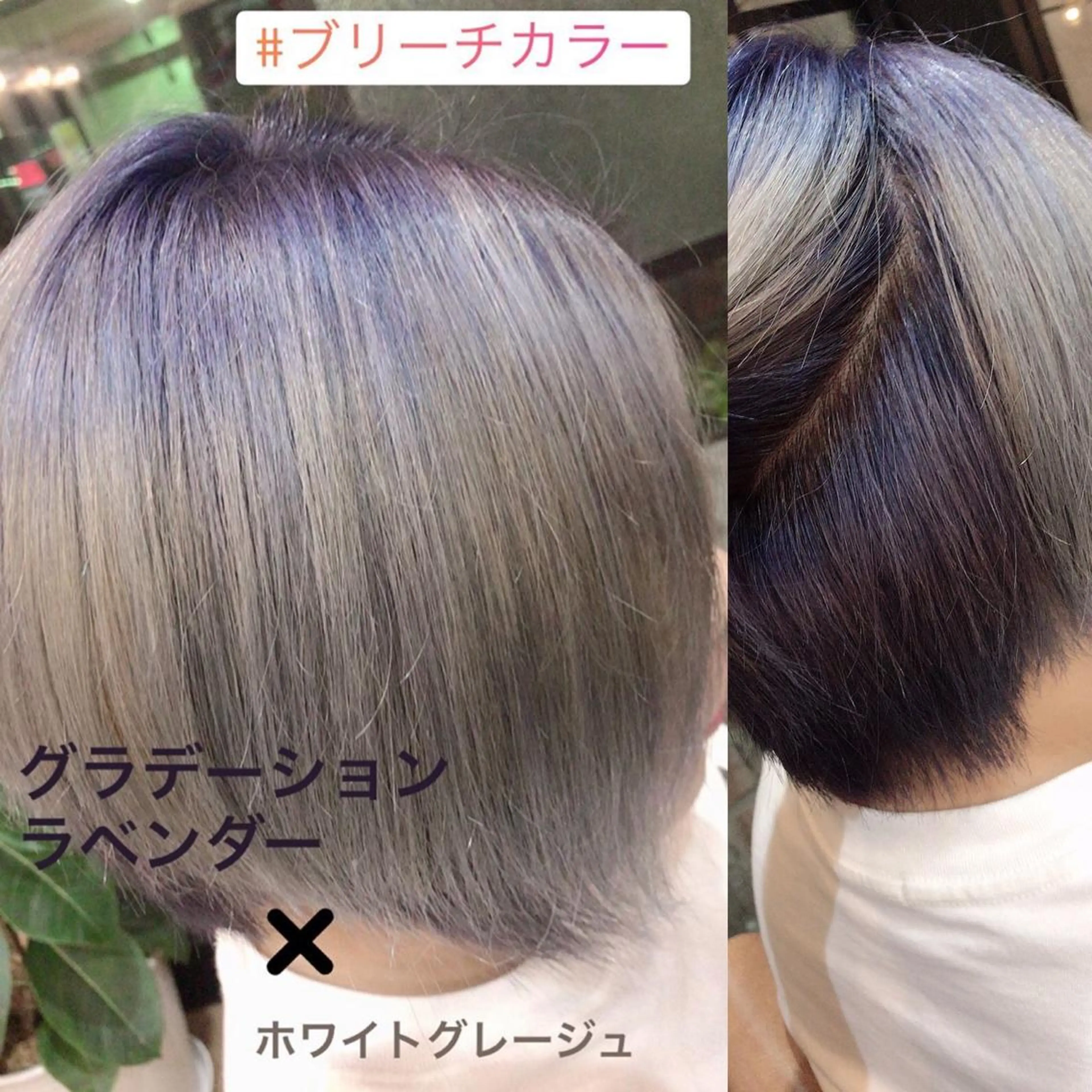 ショート カラー グラデーションカラー グレージュ ラベンダーカラー ヘアカラー トリートメント 特殊カラー特化 ✂️SHIAN フジのヘアスタイル
