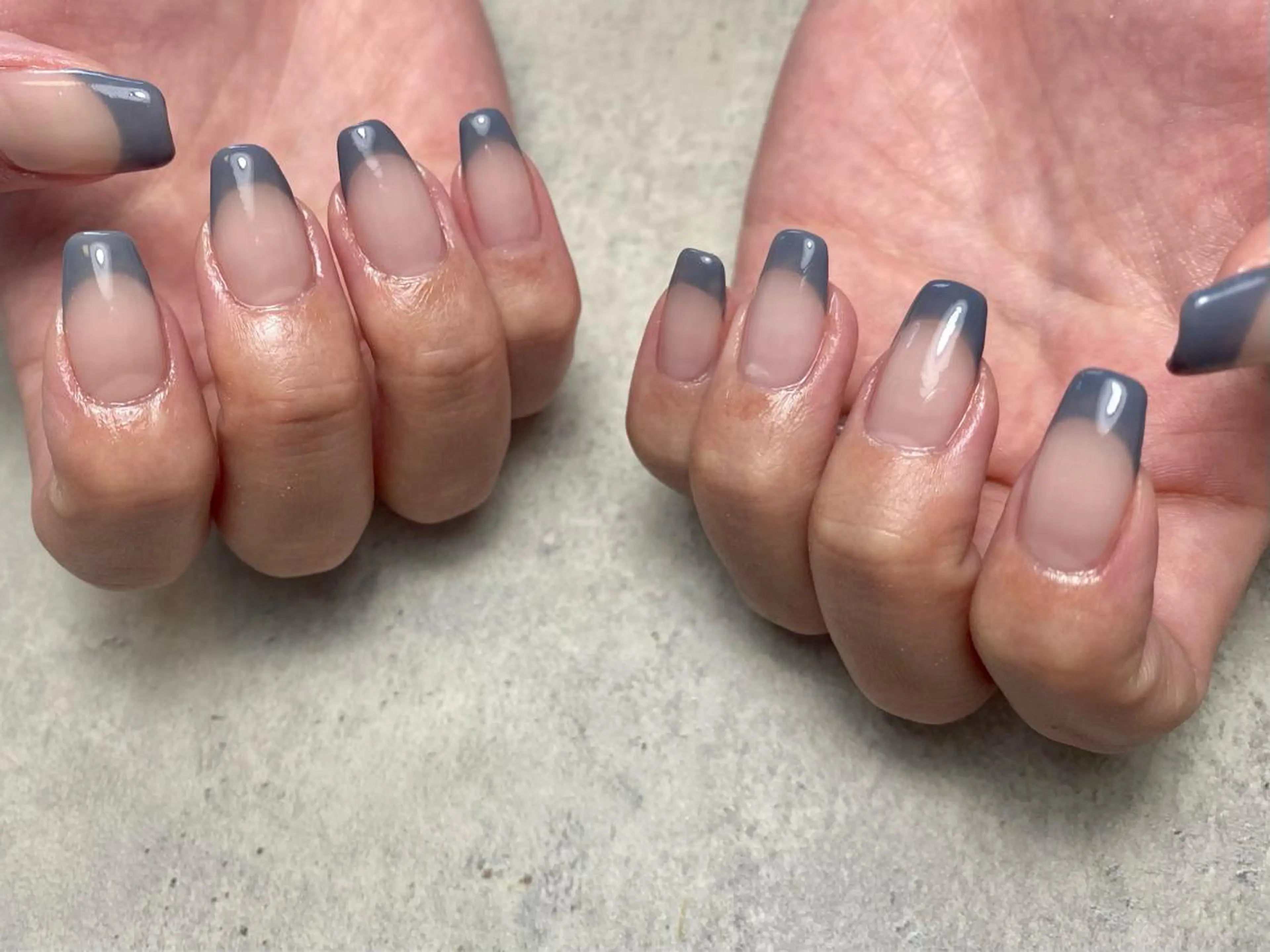 ■フレンチの写真