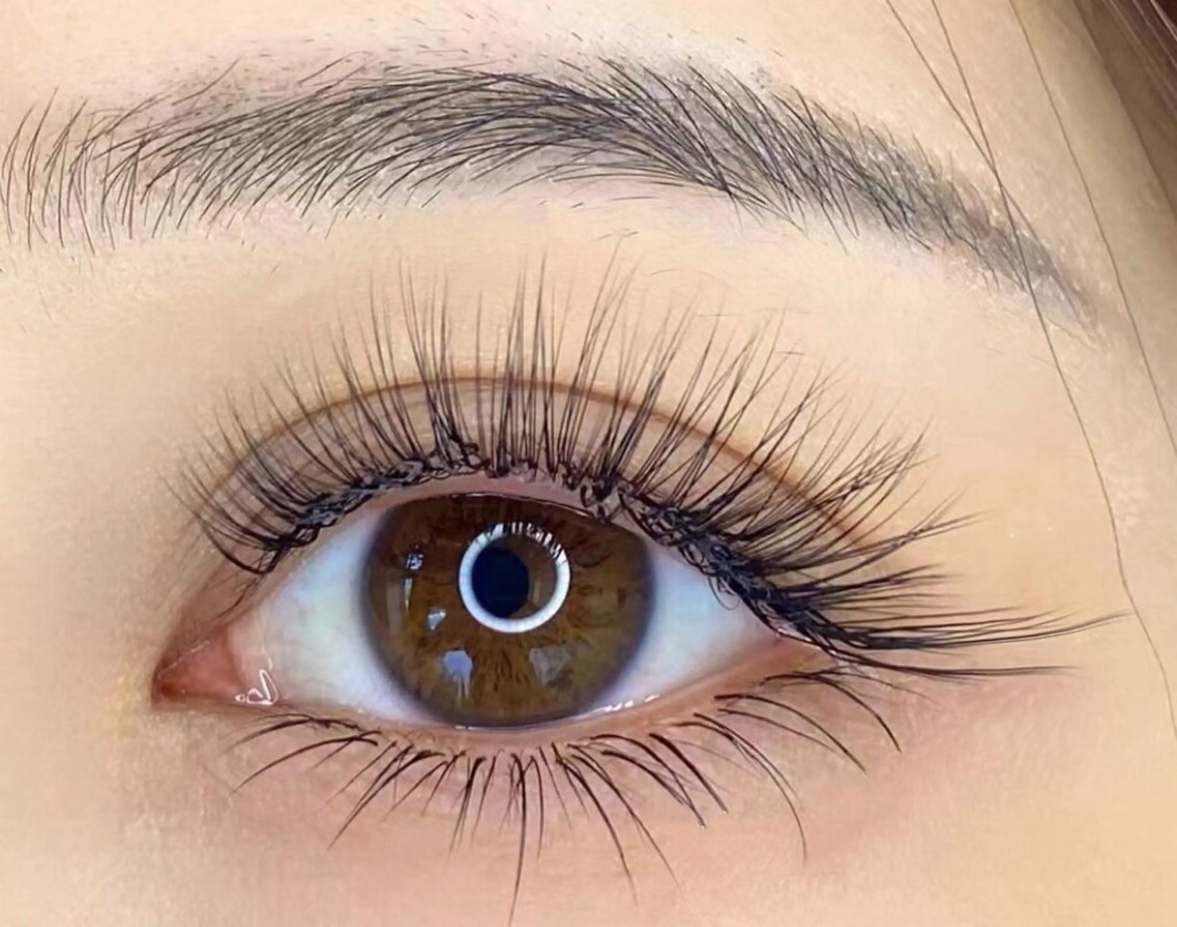 ★【パリジェンヌ風　フライトラッシュ　】Lフライトラッシュ120本の写真