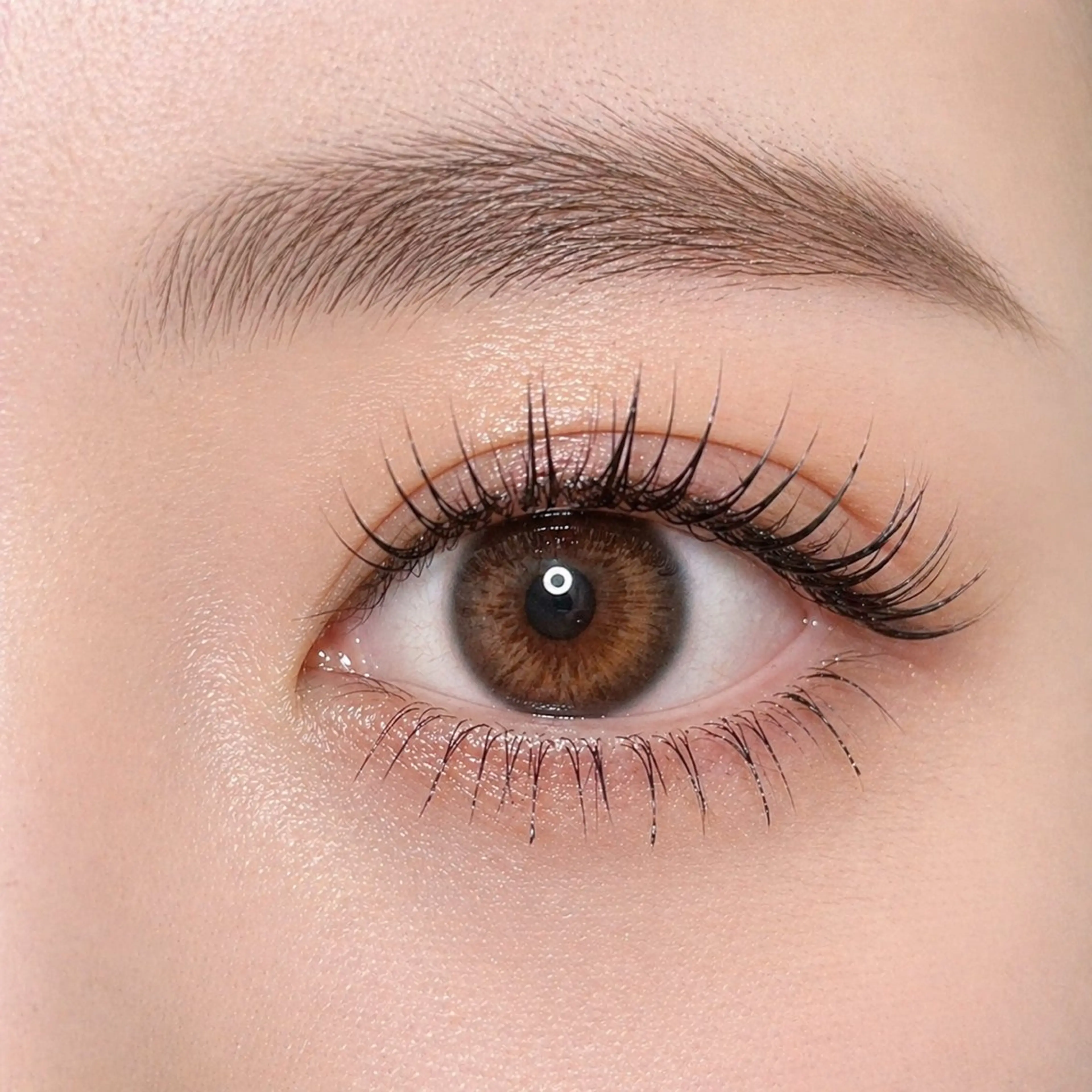 マツエク・マツパ まつげパーマ 下まつげエクステ マツパ ameri(アメリ) 半田店の眉毛・アイブロウイメージ