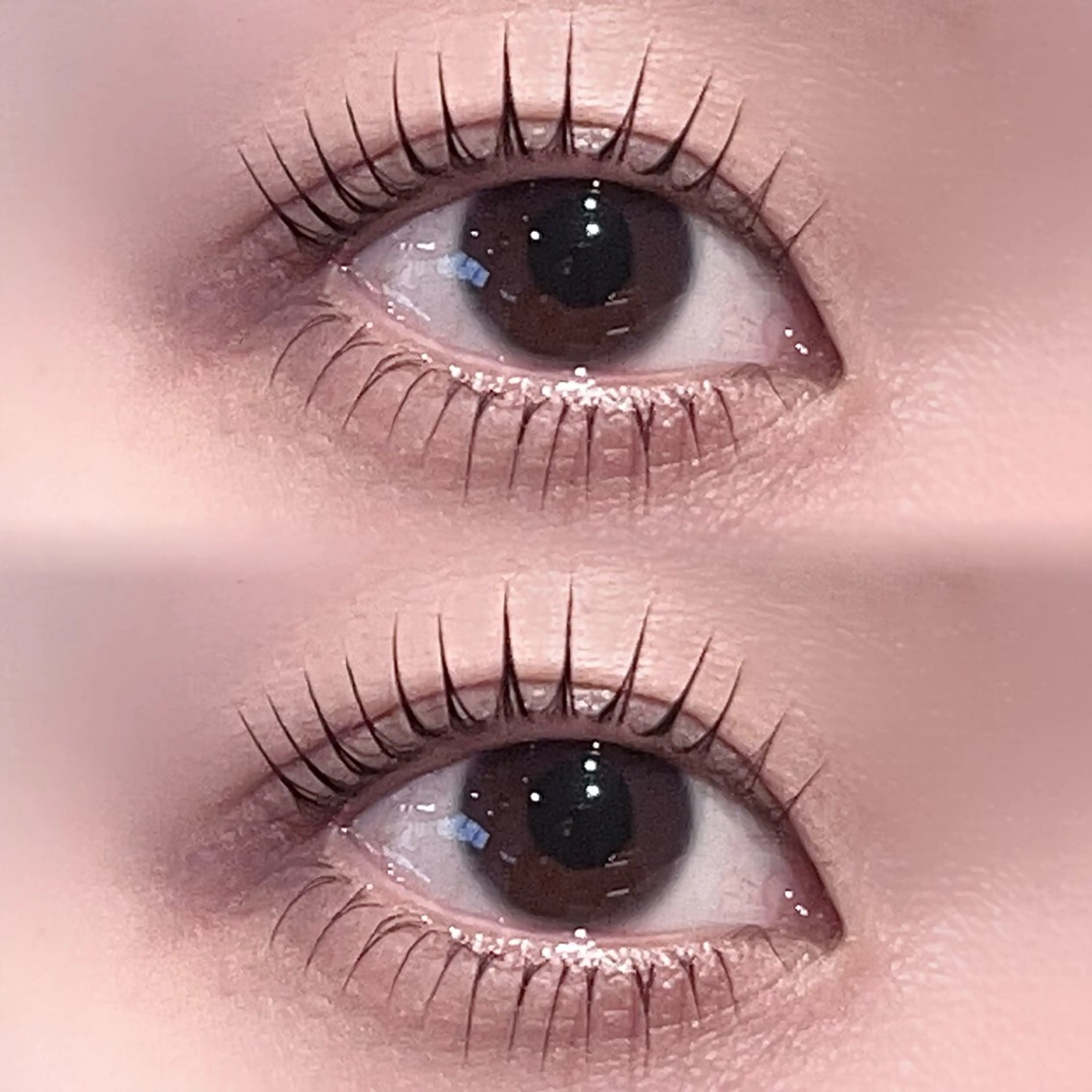 【セット🉐 / 5分遅刻で上下施術不可】　🍇上パリジェンヌラッシュリフト(まつ毛パーマ)&下まつ毛パーマ🍇の写真