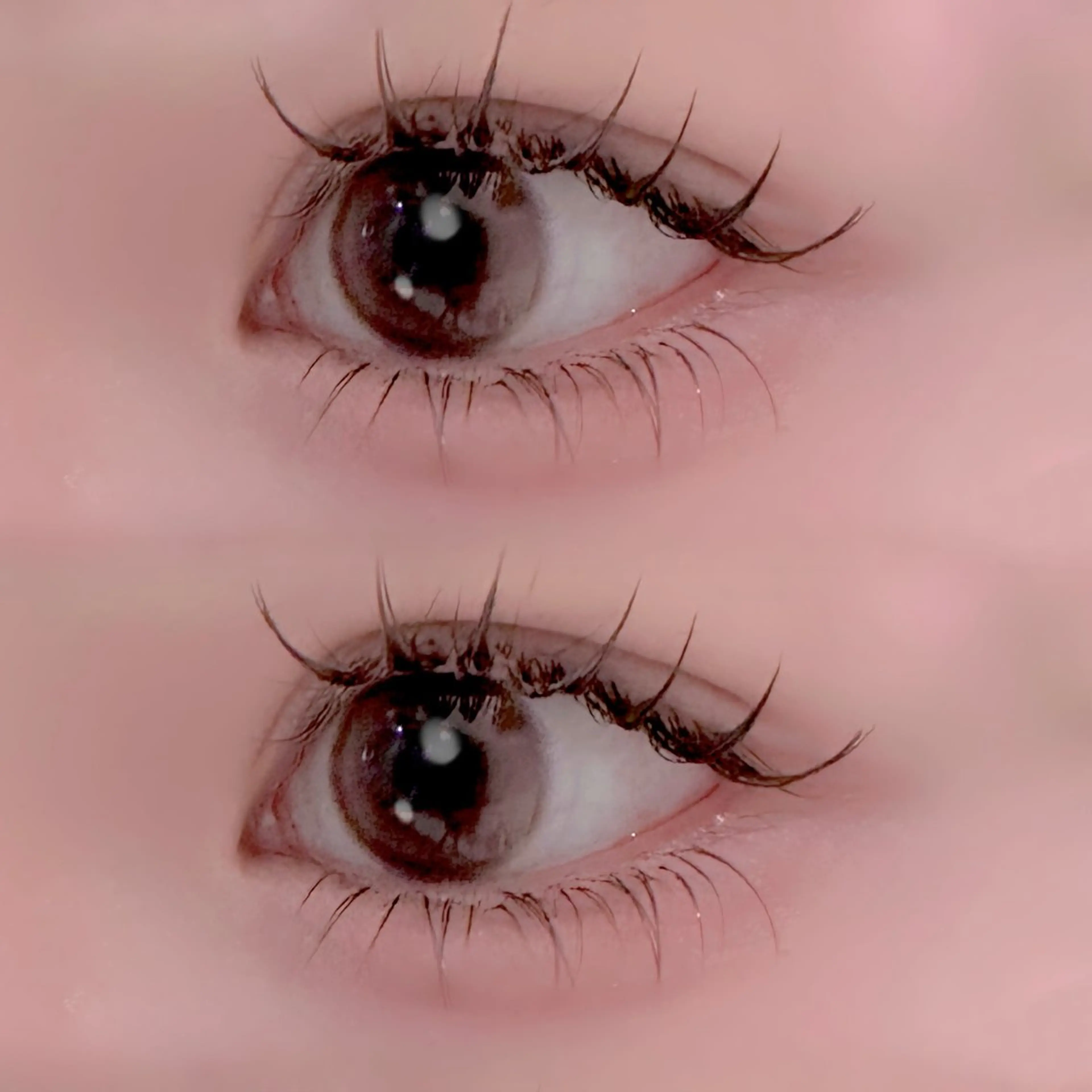 下マツエク（20本）☁️の写真