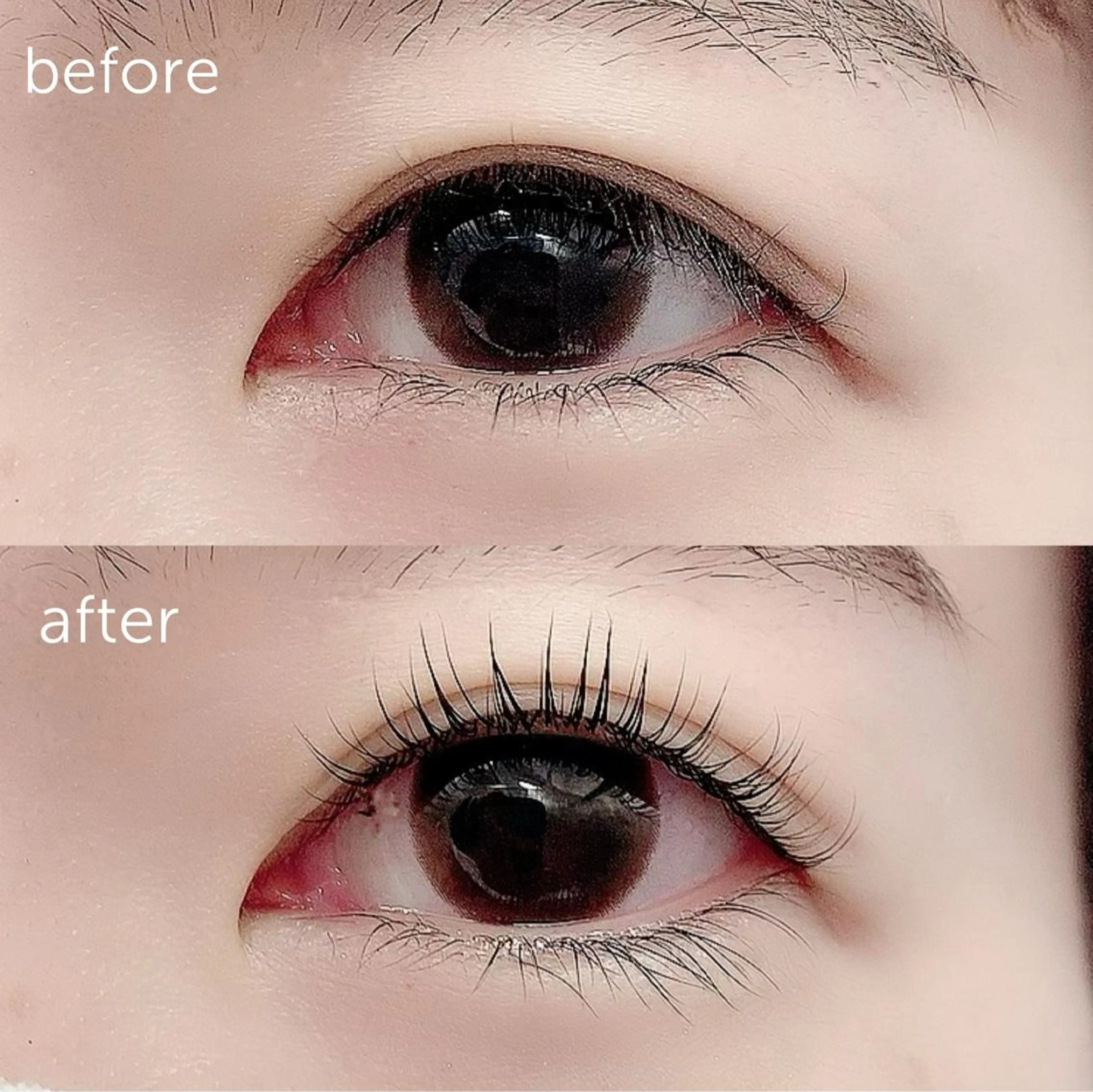 マツエク・マツパ パリジェンヌラッシュリフト 🤍アイリスト kana🤍のマツエク・マツパデザイン