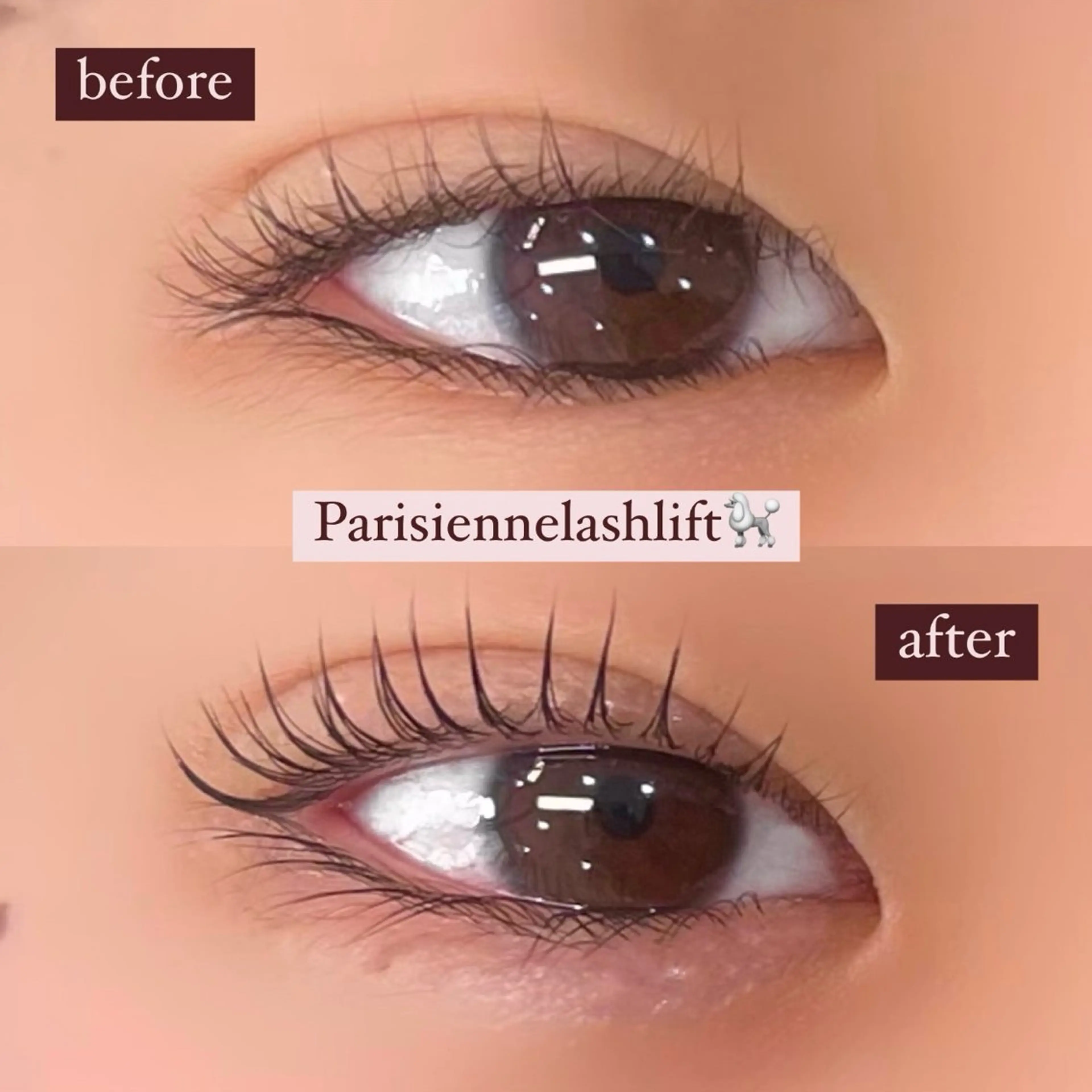 マツエク・マツパ Rose Lash hiyoriのマツエク・マツパデザイン
