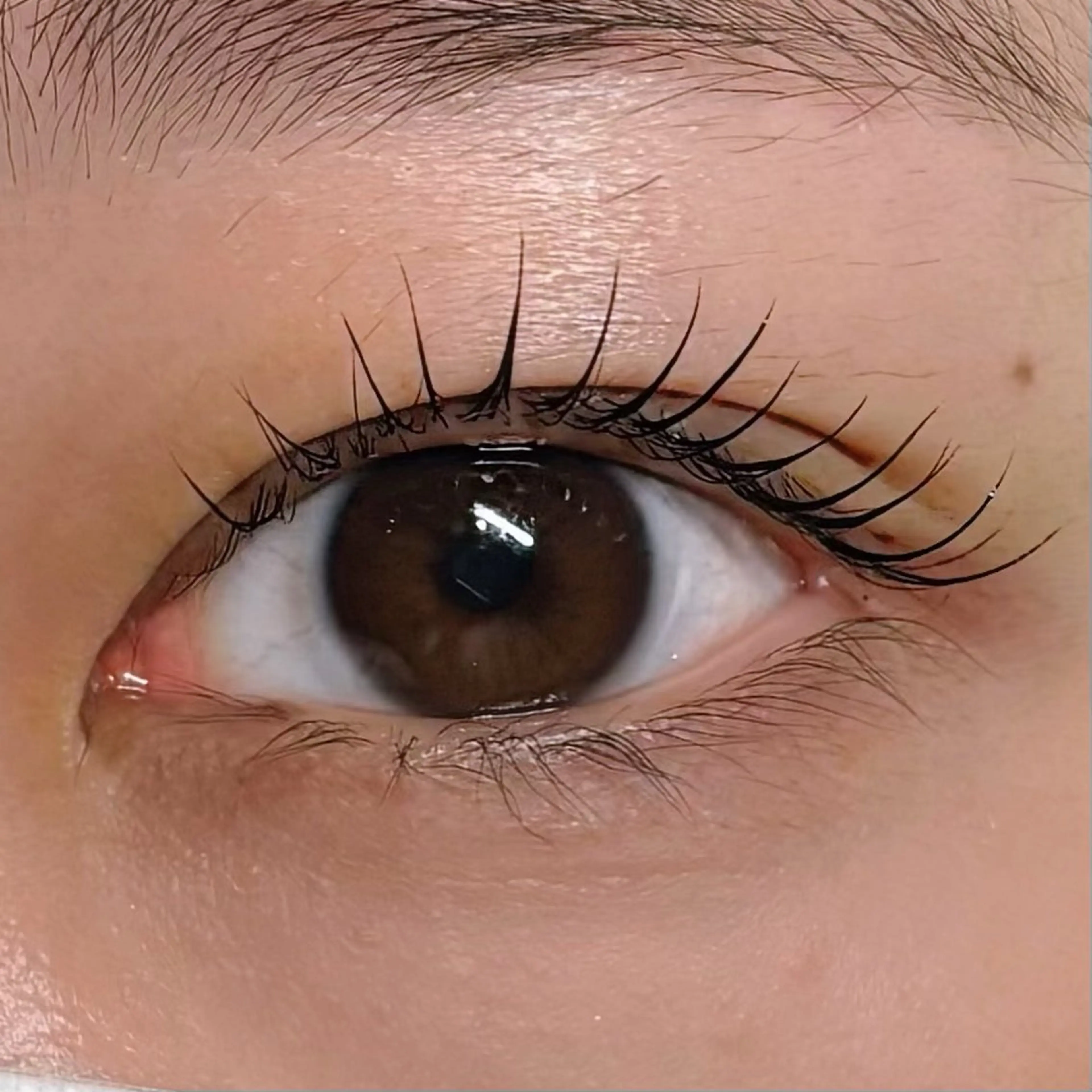 マツエク・マツパ 垢抜け眉WAX専門 ちゅるんまつげ|鎌倉の眉毛・アイブロウイメージ