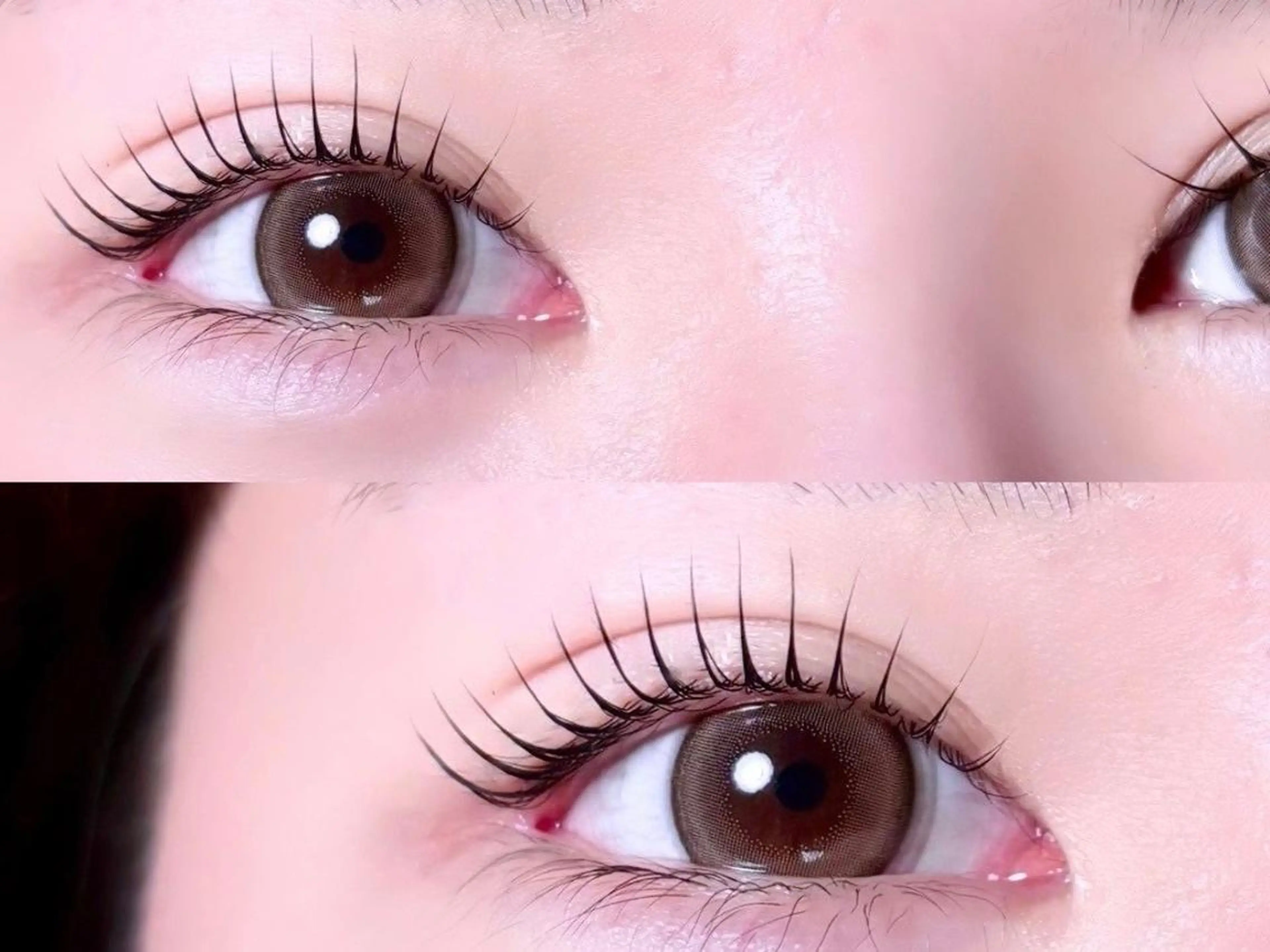 ✨人気No.1✨🎀パリジェンヌorラッシュリフト🎀の写真