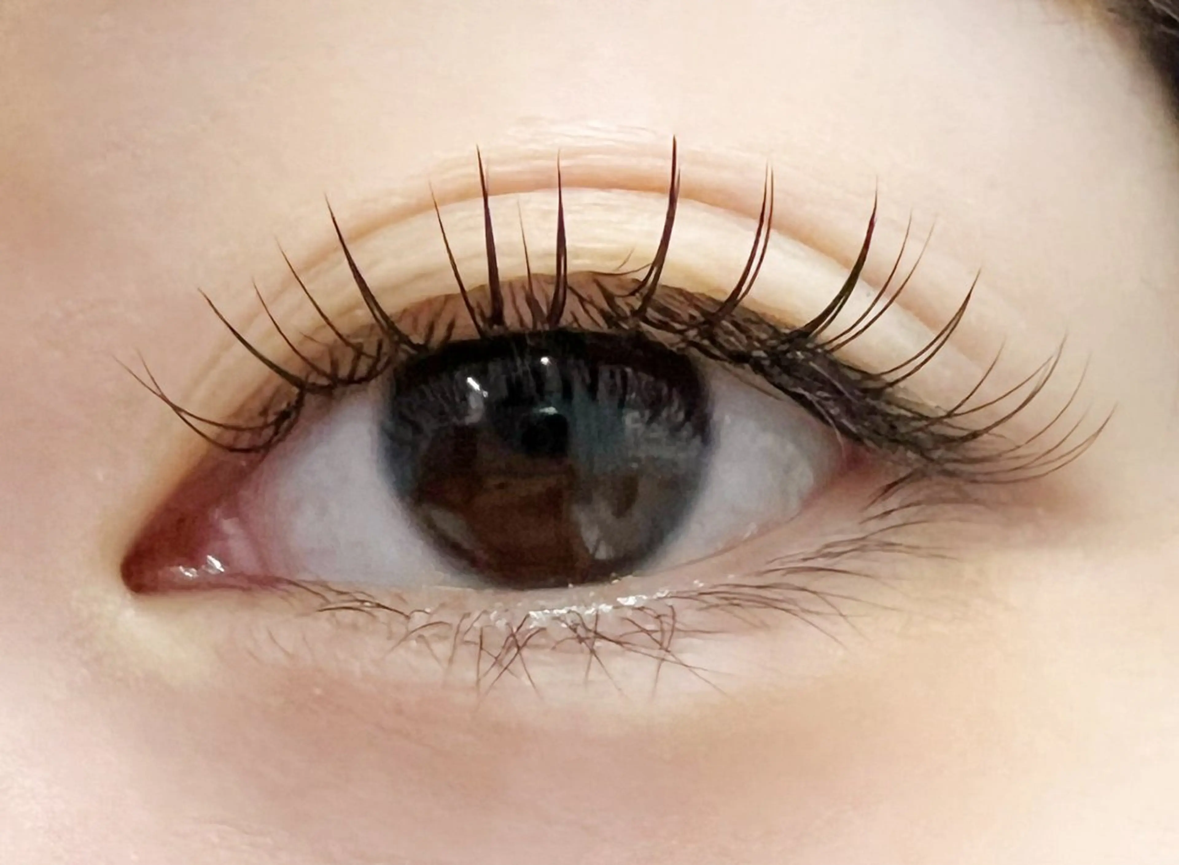 マツエク・マツパ 【EYELA】 池田のマツエク・マツパデザイン