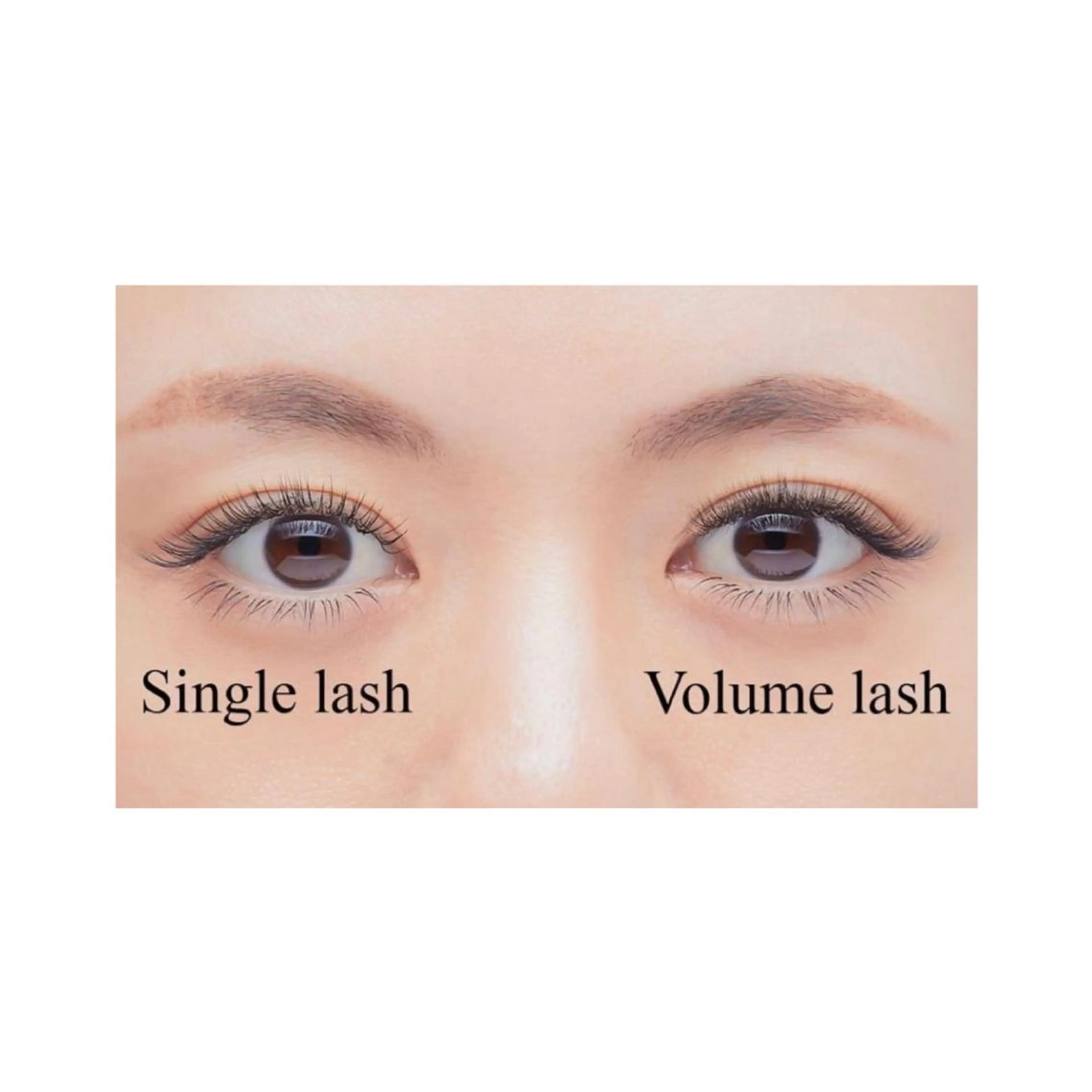 マツエク・マツパ フラットラッシュ ボリュームラッシュ viviAiles ♡⃛ Ruiのマツエク・マツパデザイン