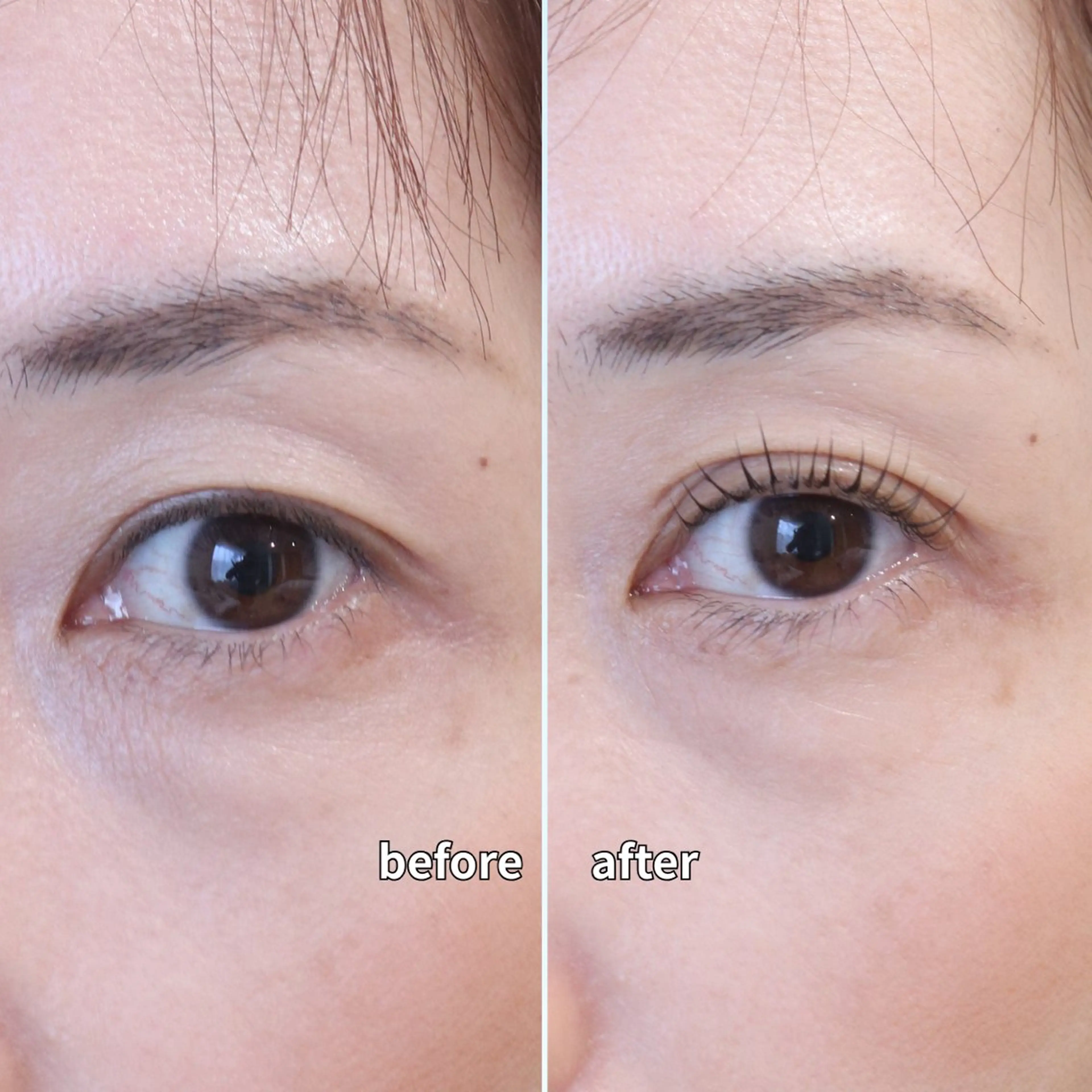 【人気No.1】ビューラーいらず✨️まつ毛パーマ ¥3500の写真