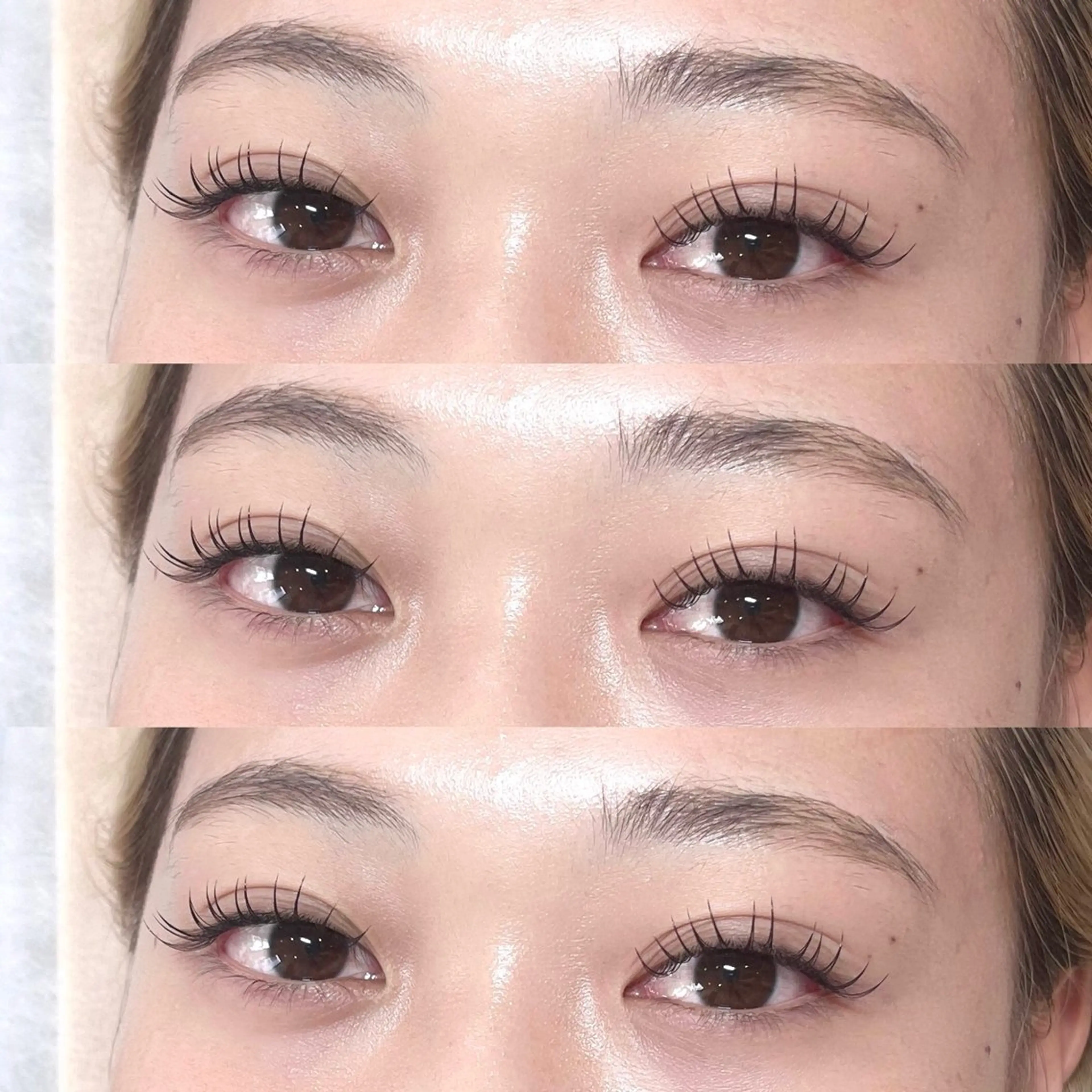 バインドロック80束の写真