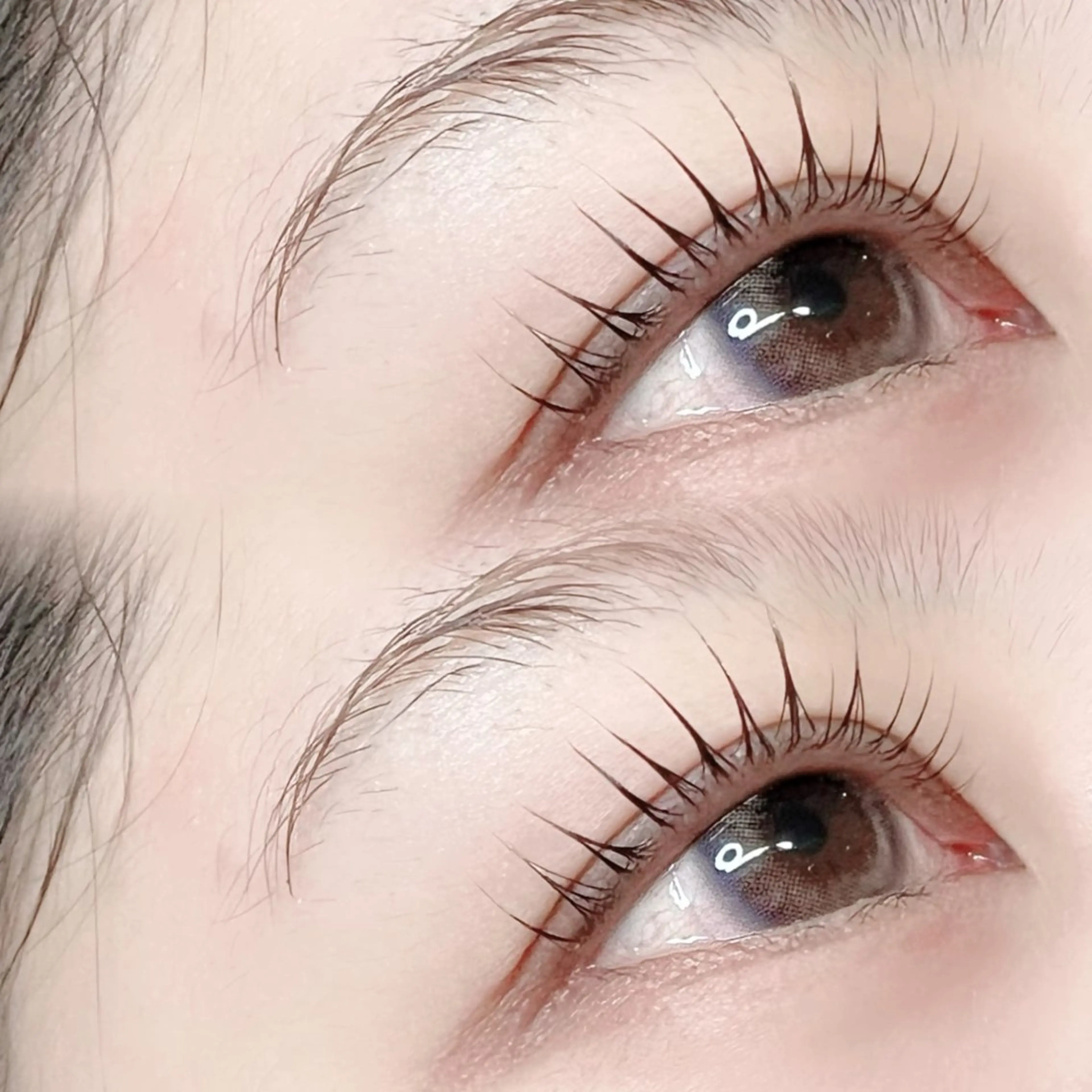 【セット割】ラッシュリフト / パリジェンヌ ＋ アイブロウWAX✨の写真