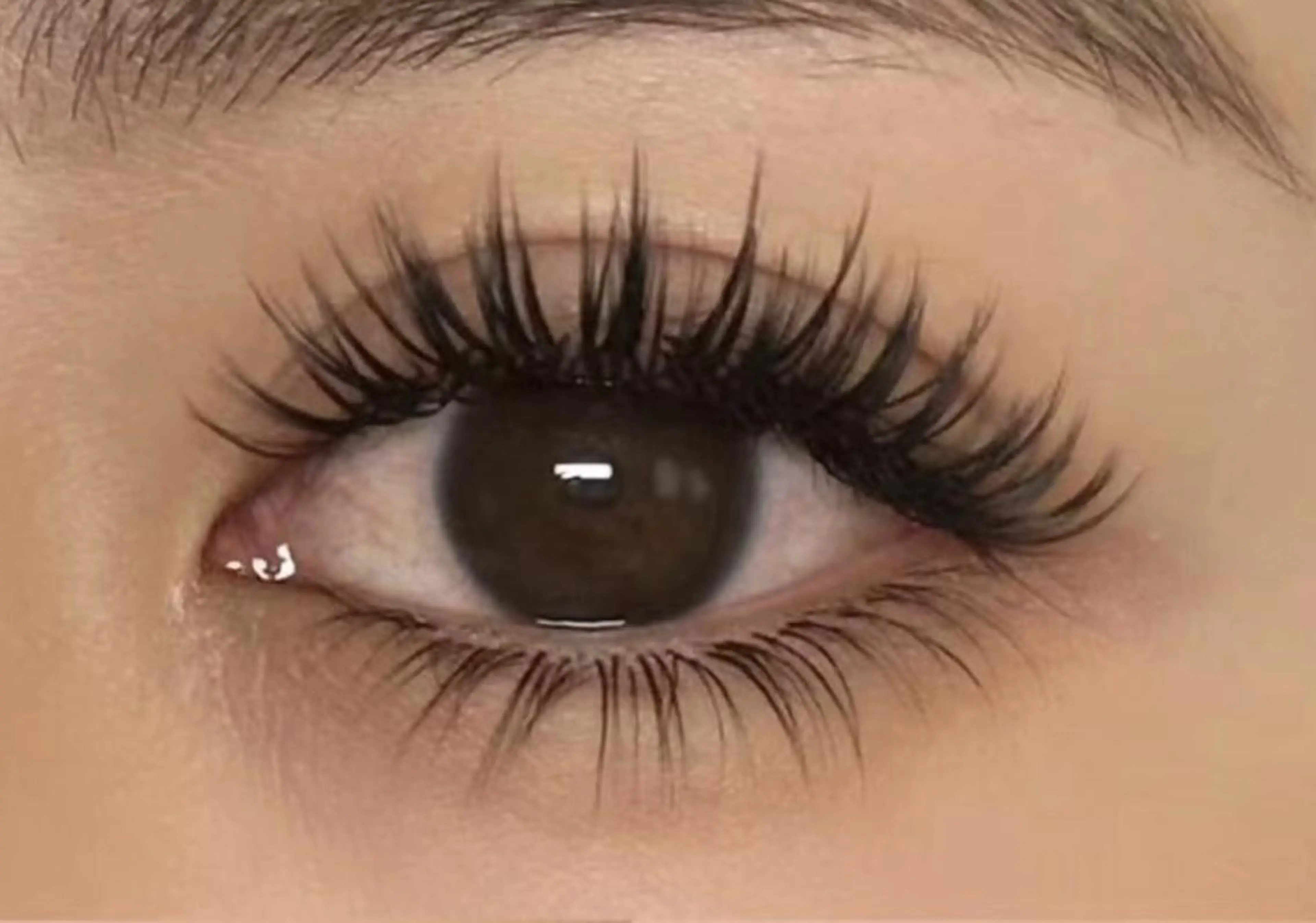 マツエク・マツパ まつげパーマ専門店 FOIのマツエク・マツパデザイン