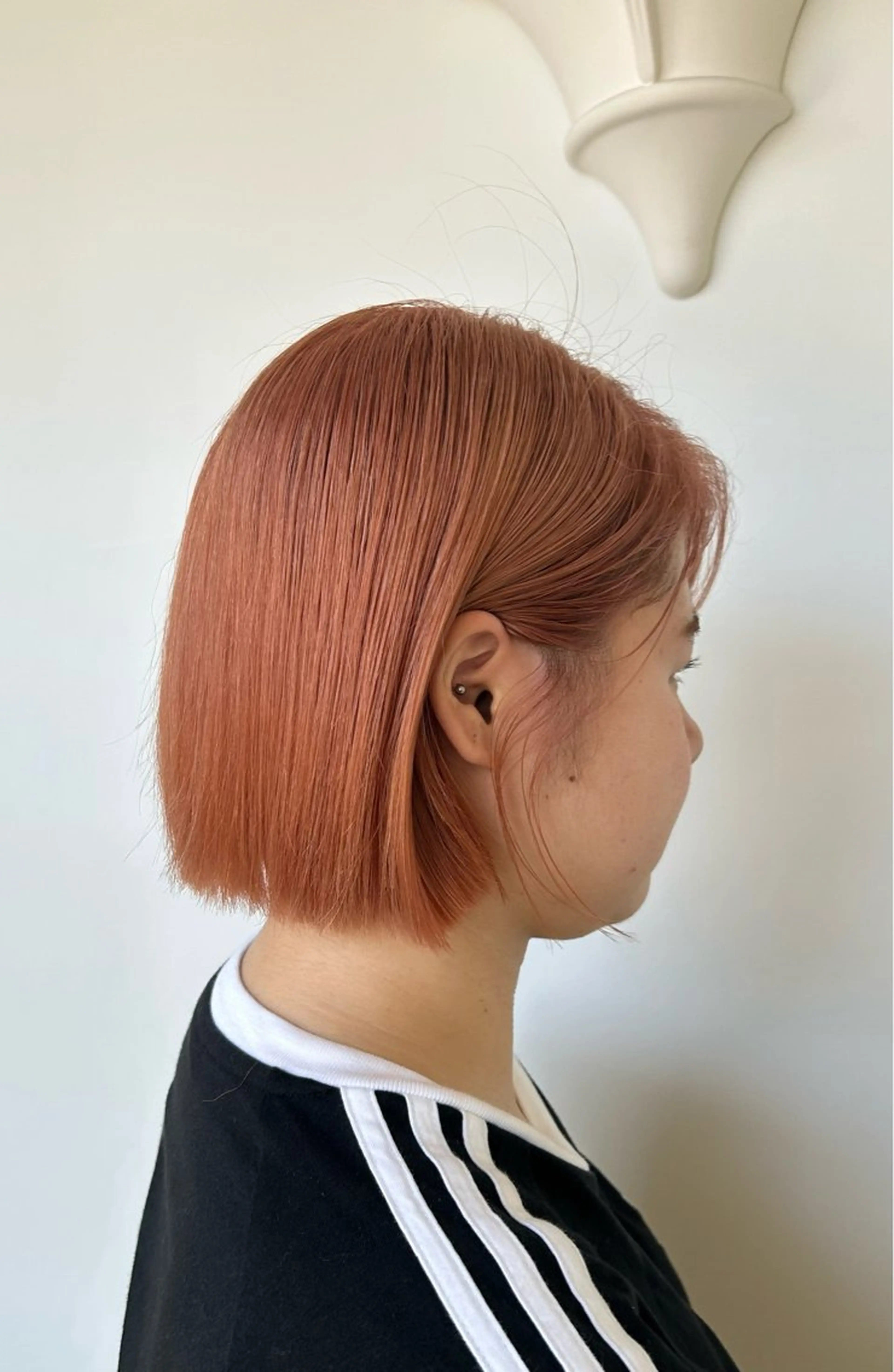 ダブルカラーの写真