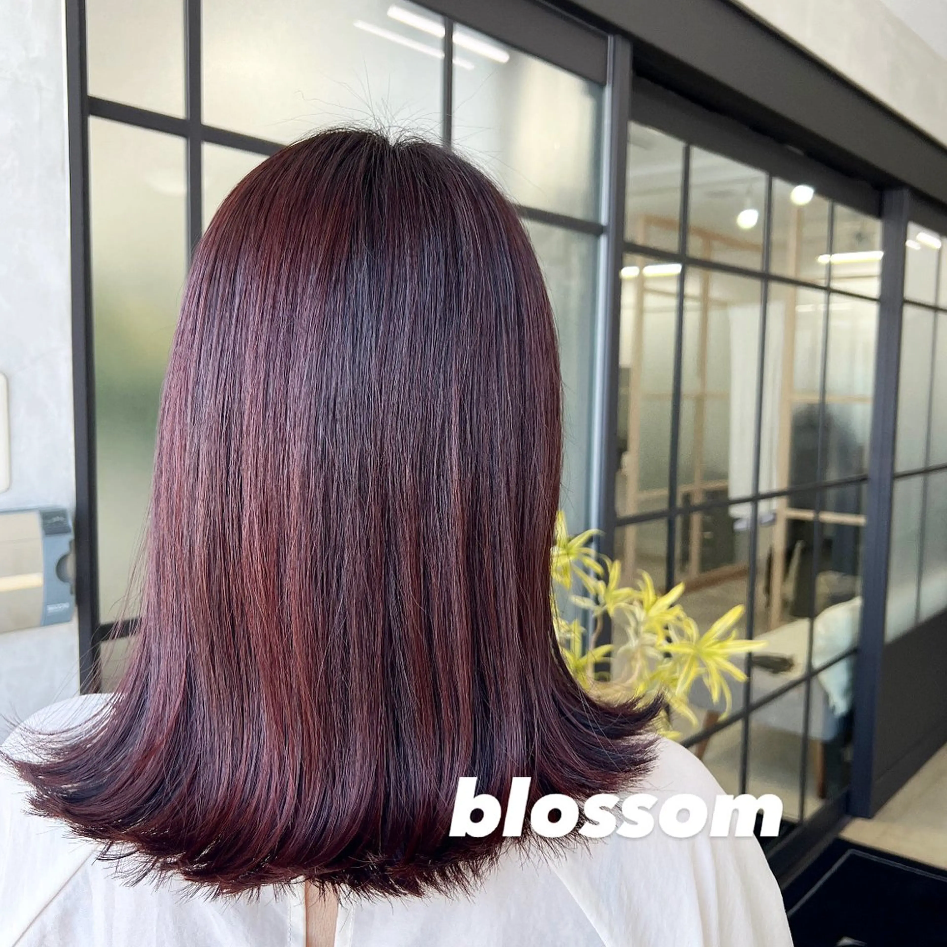 ロング ヤマダレナ/個室/ 透明感艶カラー😽✨のヘアスタイル