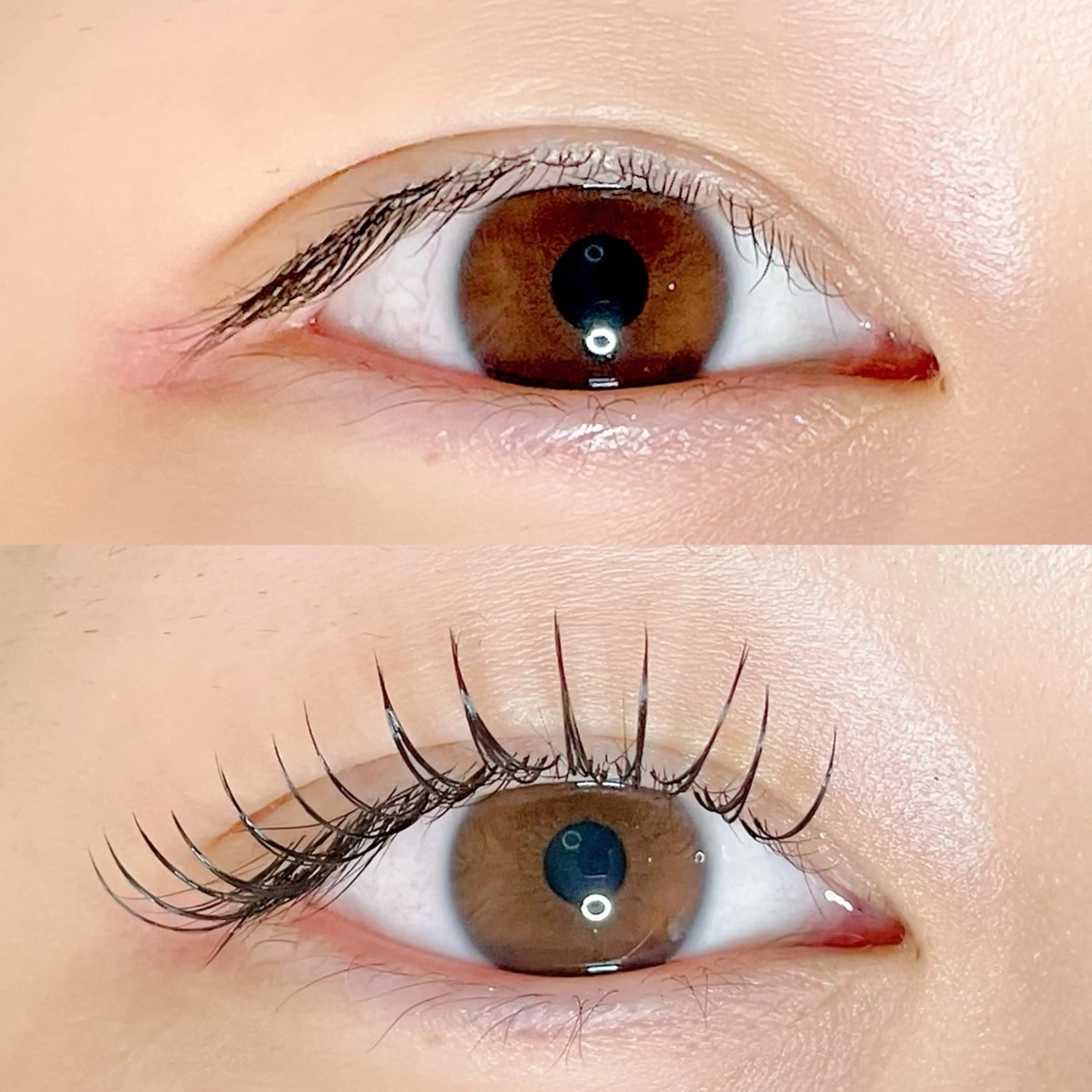 マツエク・マツパ フラットラッシュ マツエク AYLASH🧡 猪又のマツエク・マツパデザイン