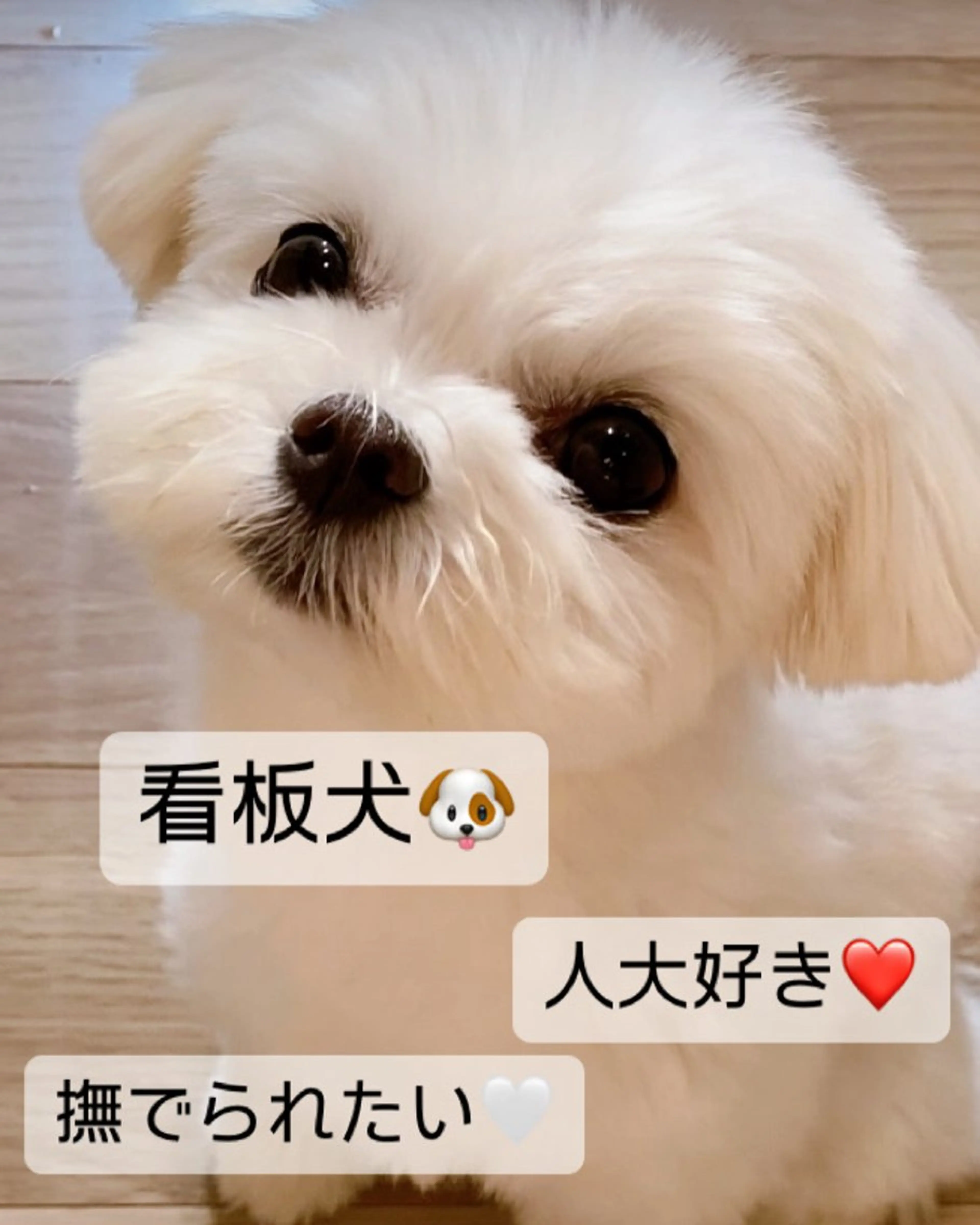 小顔×肌質改善サロン soin〔ソワン〕のエステ・リラクイメージ