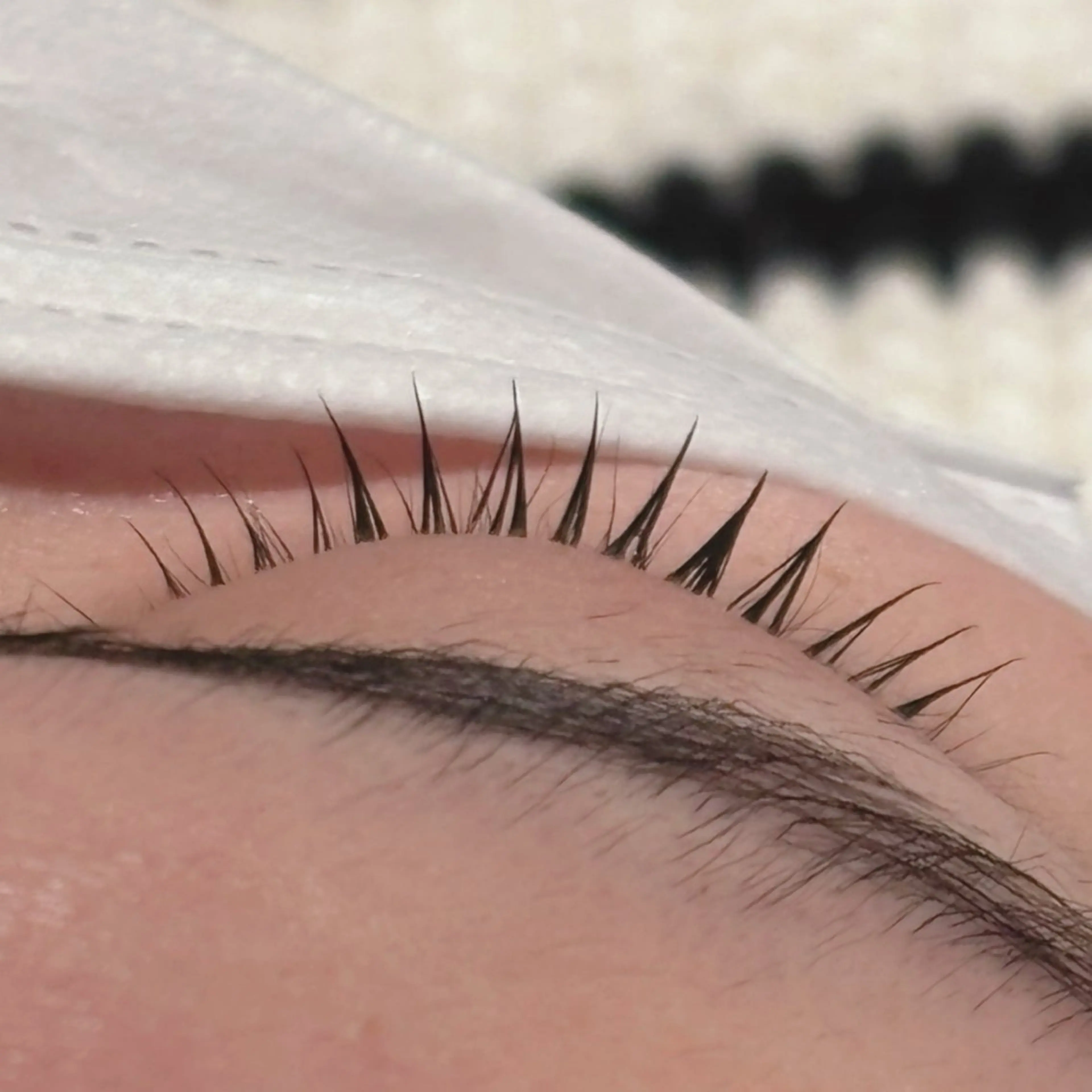 マツエク・マツパ マツパ オリーブ/韓国風 まつパ/himariのマツエク・マツパデザイン