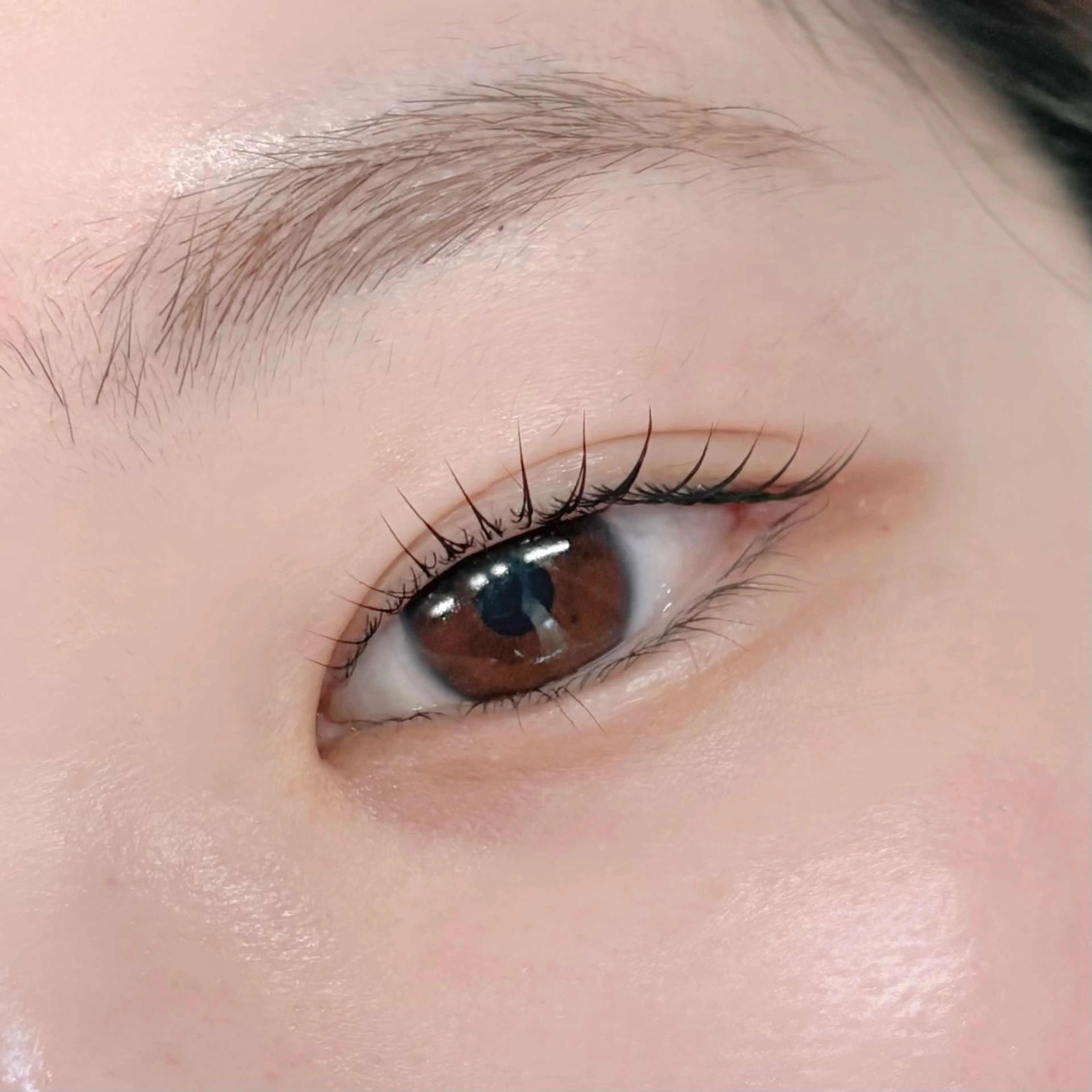 マツエク・マツパ ナチュラル shuka 🩶のマツエク・マツパデザイン