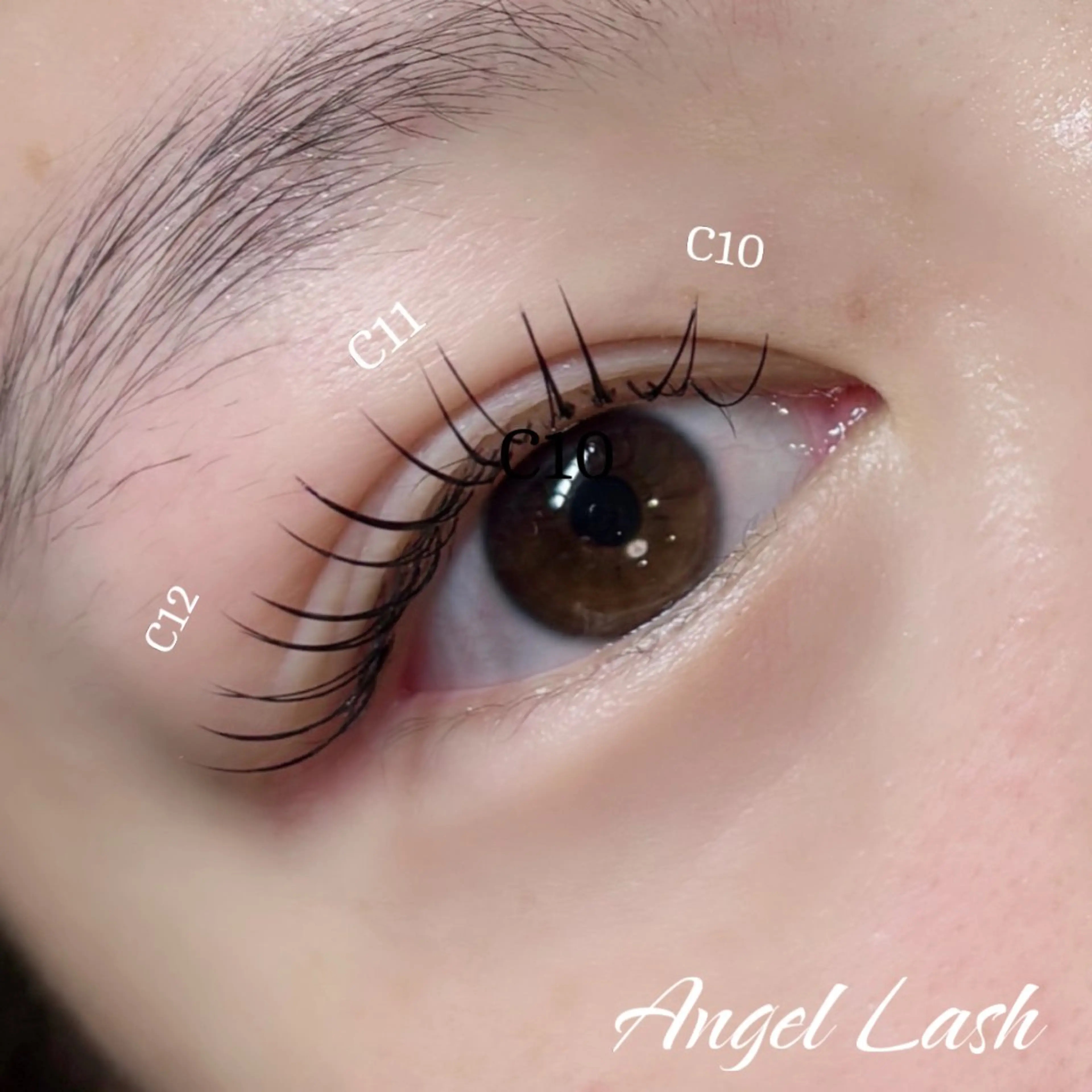 マツエク・マツパ フラットラッシュ AngleLash hayashiのマツエク・マツパデザイン
