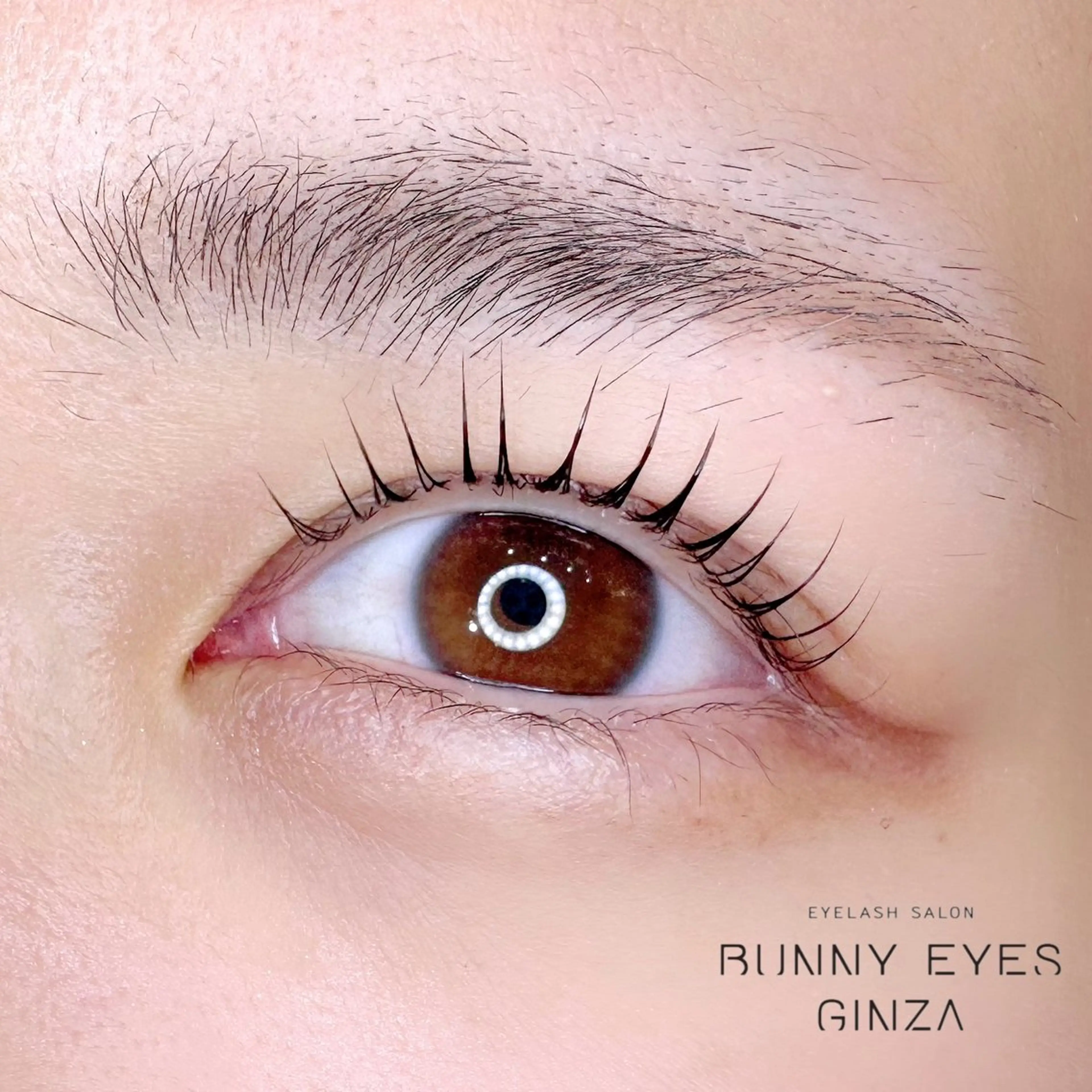 マツエク・マツパ bunny eyes 小島のマツエク・マツパデザイン