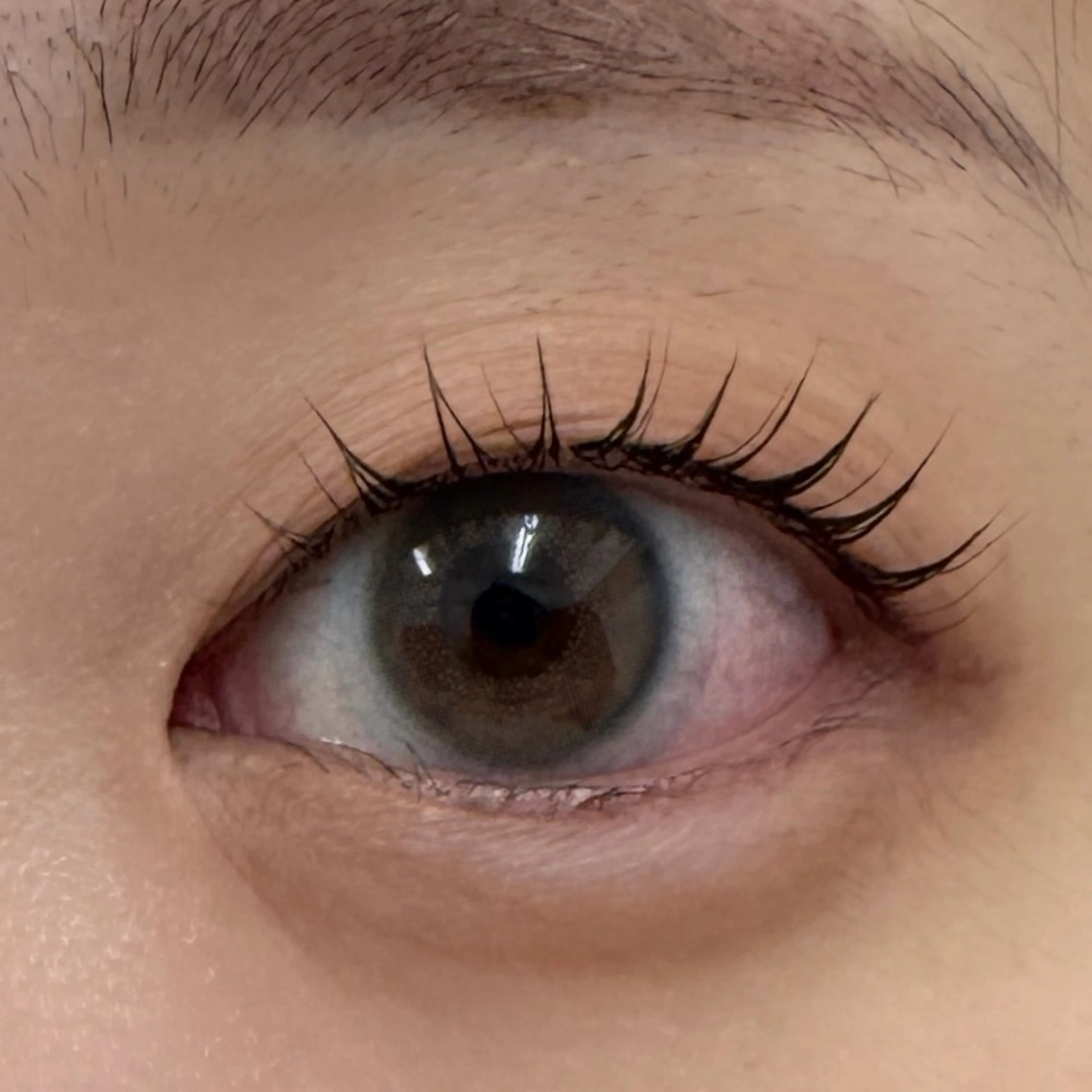 マツエク・マツパ マツパ 表参道駅徒歩2分🫧 まつげパーマ/Emiのマツエク・マツパデザイン