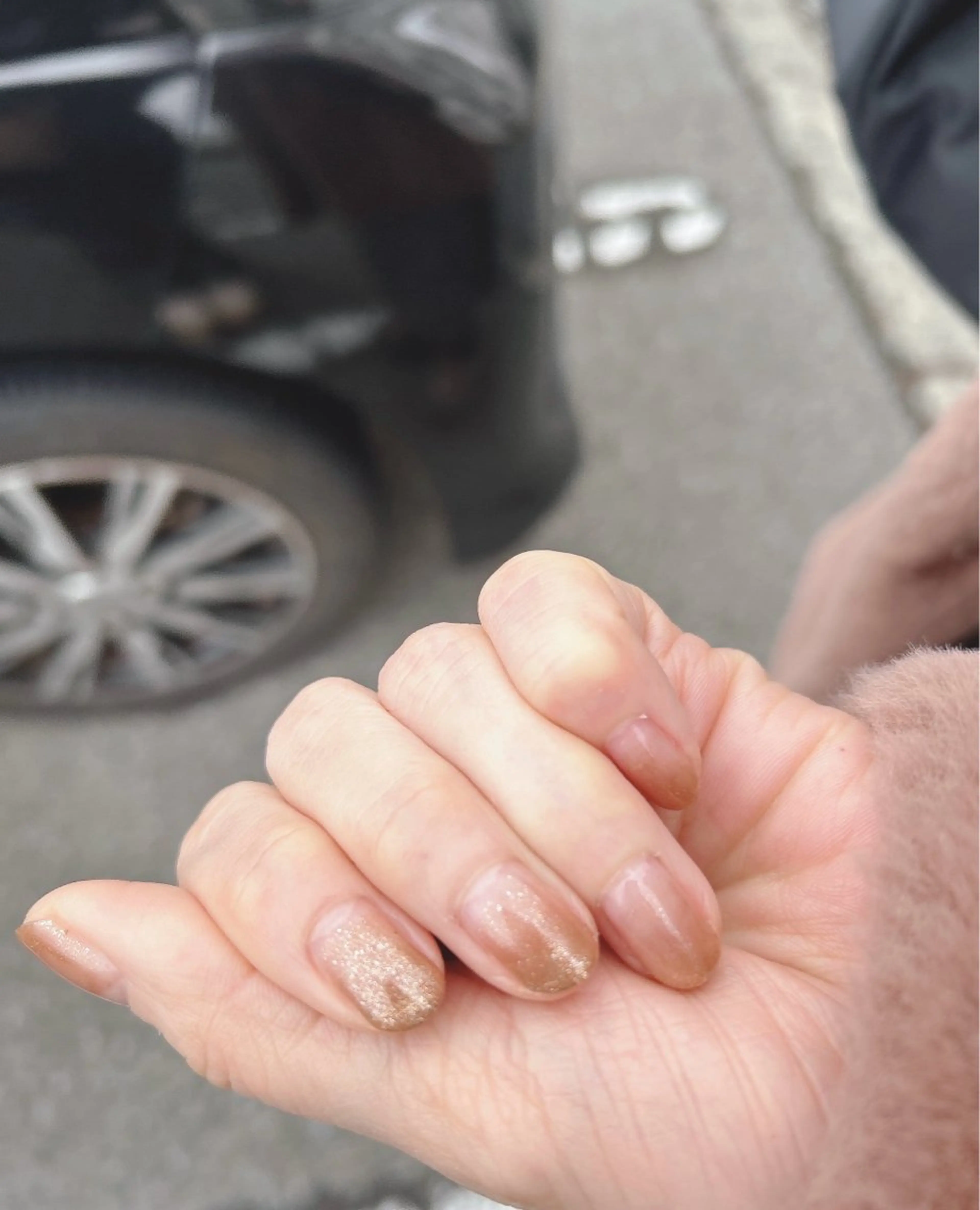 グラデーションの写真