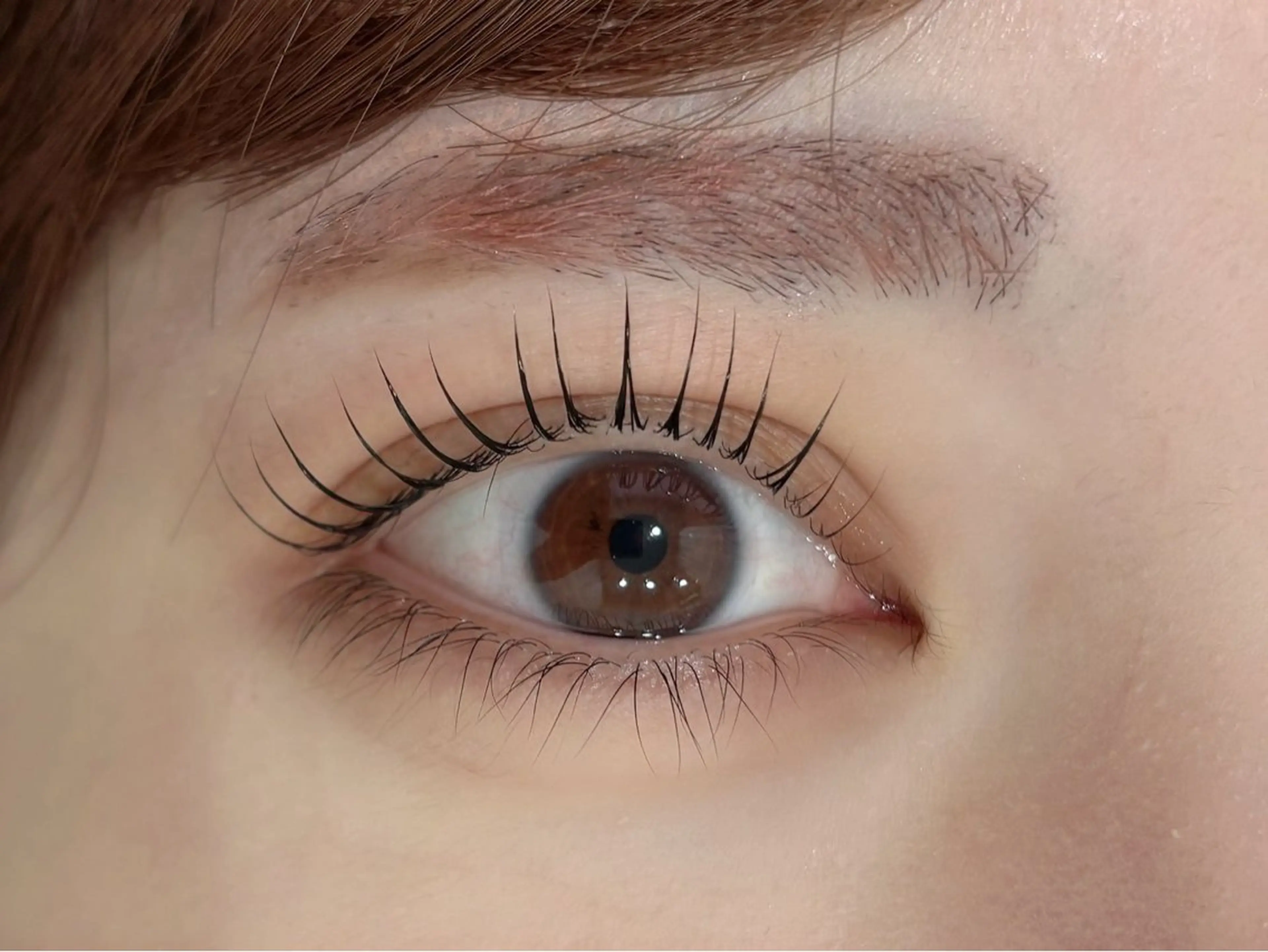 マツエク・マツパ マツパ ❣️高田馬場人気❣️ アイブロウワックスの眉毛・アイブロウイメージ