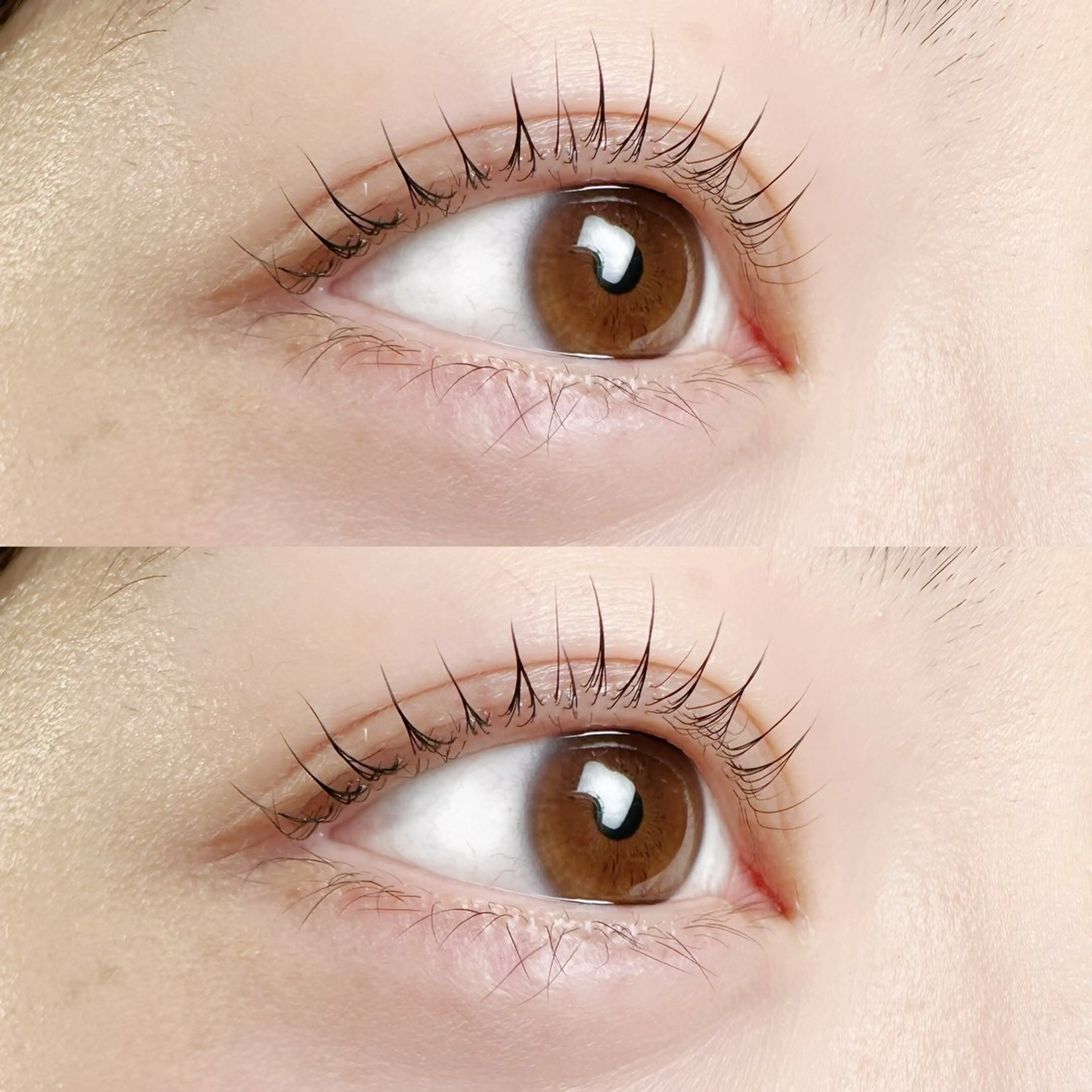 マツエク・マツパ 岡山/まつ毛/パーマ epuaのマツエク・マツパデザイン