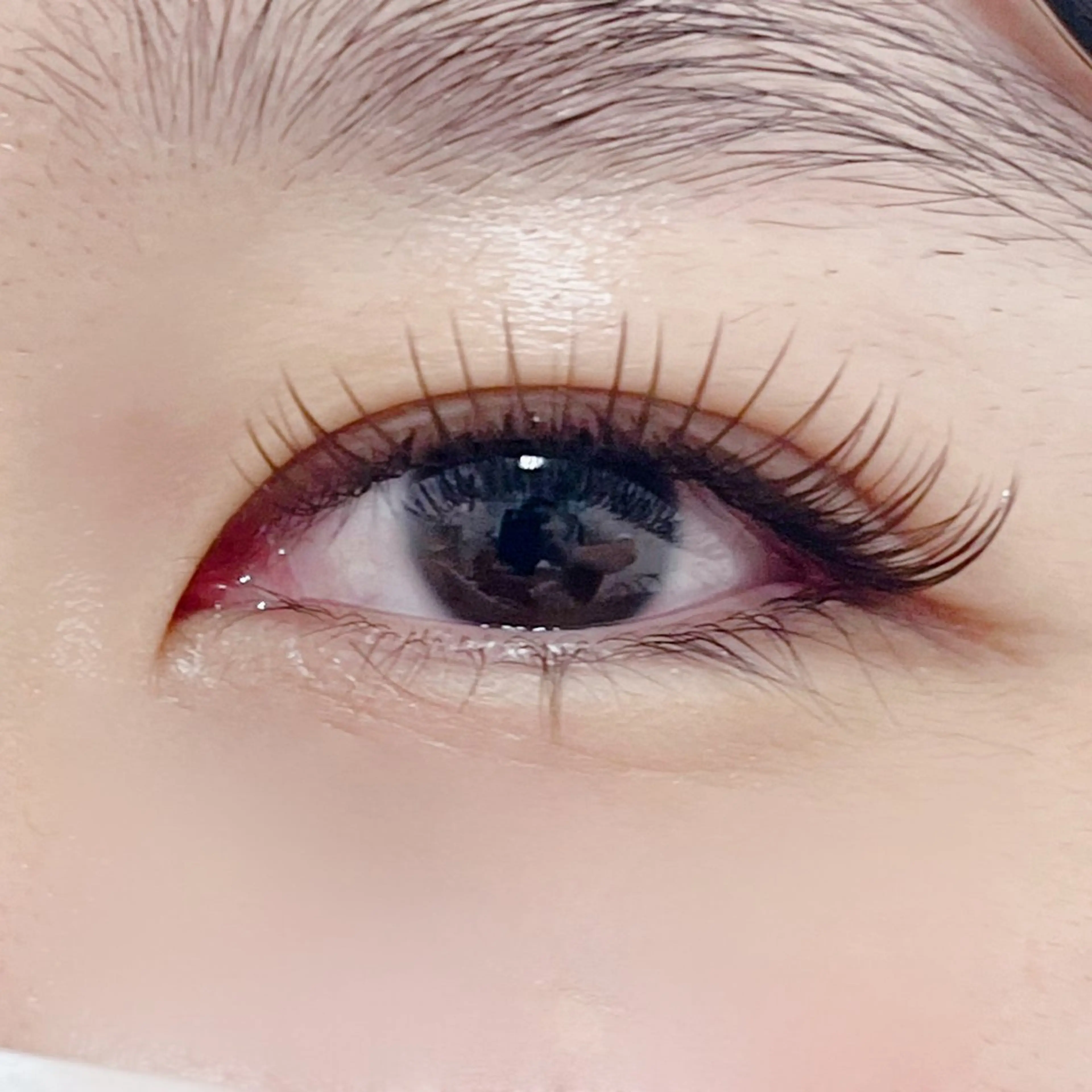 エクステ140本まで【デザインキープラッシュ】高持続✨バラツキ軽減✨の写真