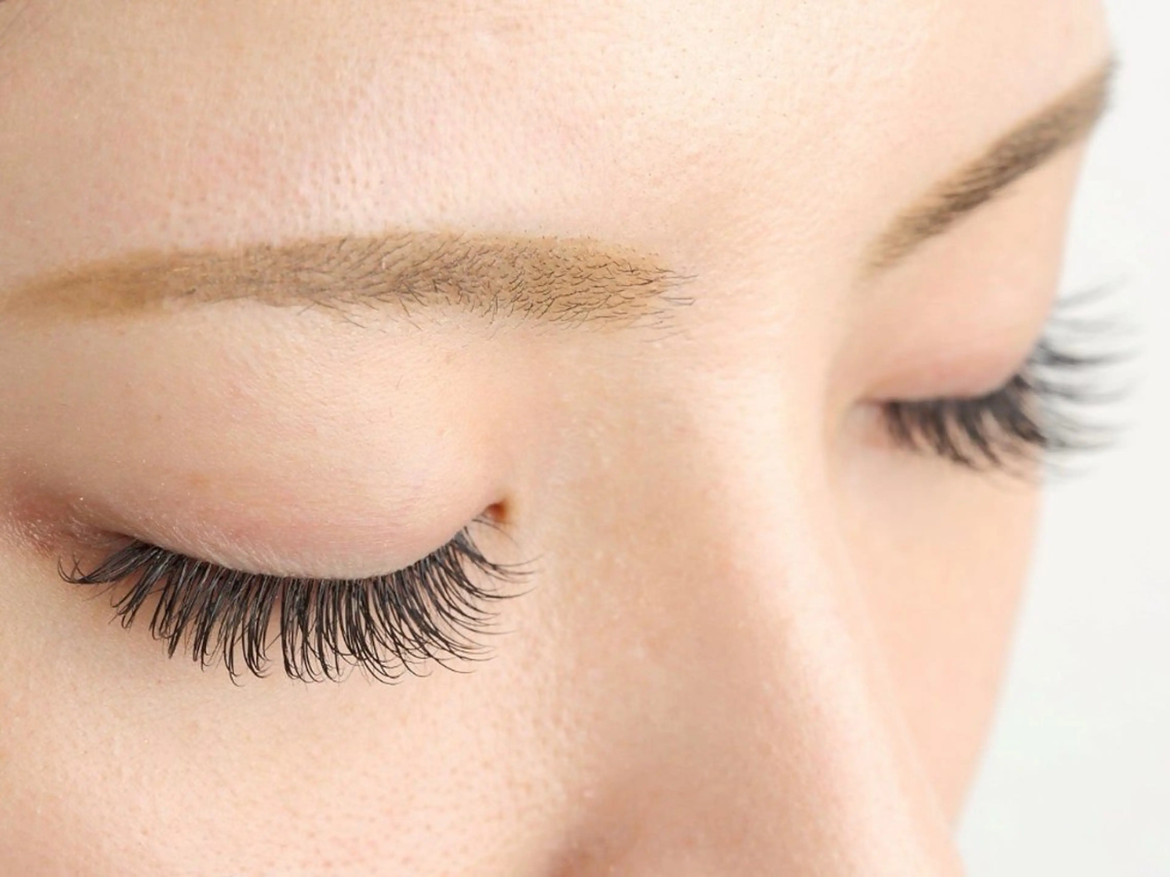 バインドロック 80束 オフ込みの写真