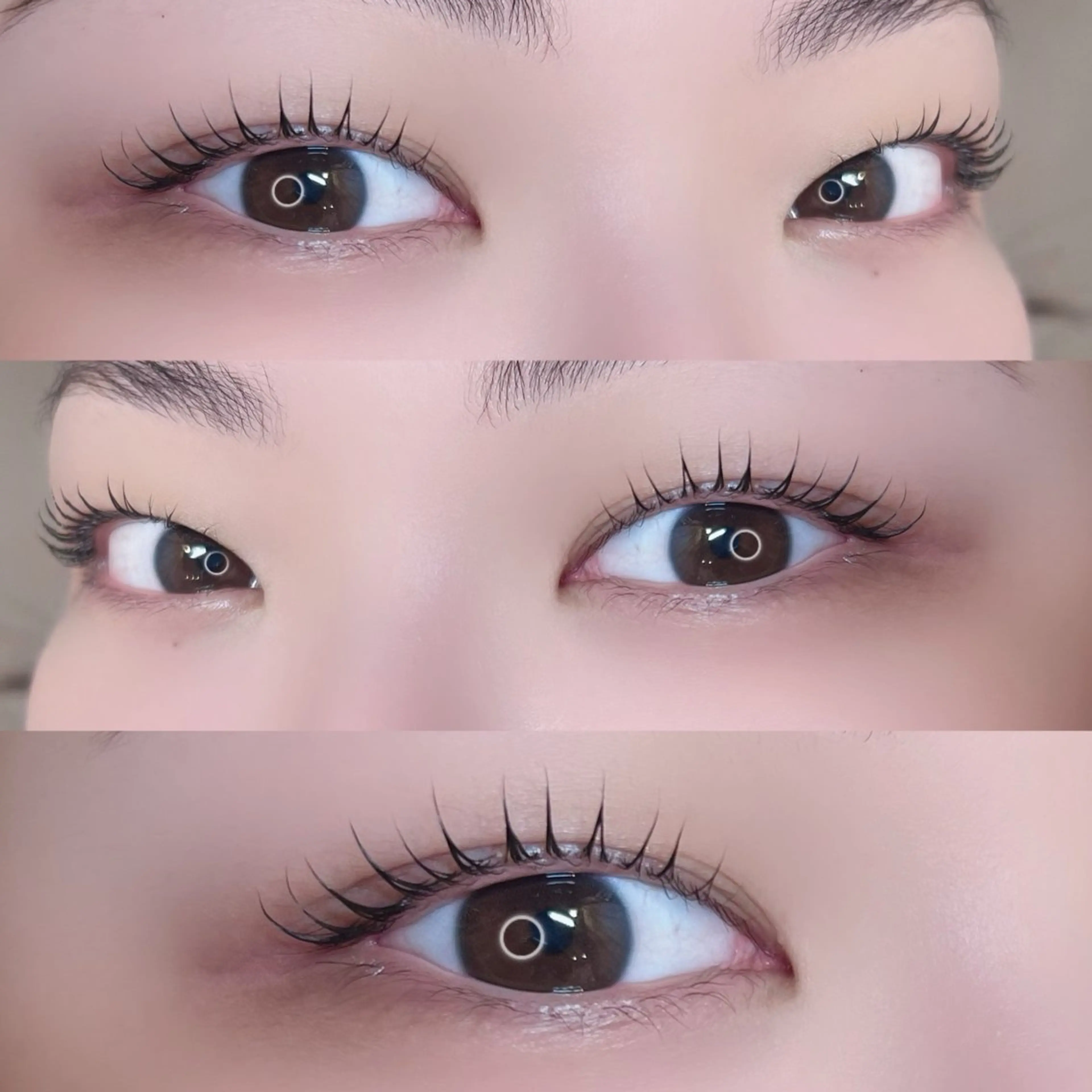 💙パリジェンヌラッシュリフト【アイシャンプー付き🫧】💙の写真