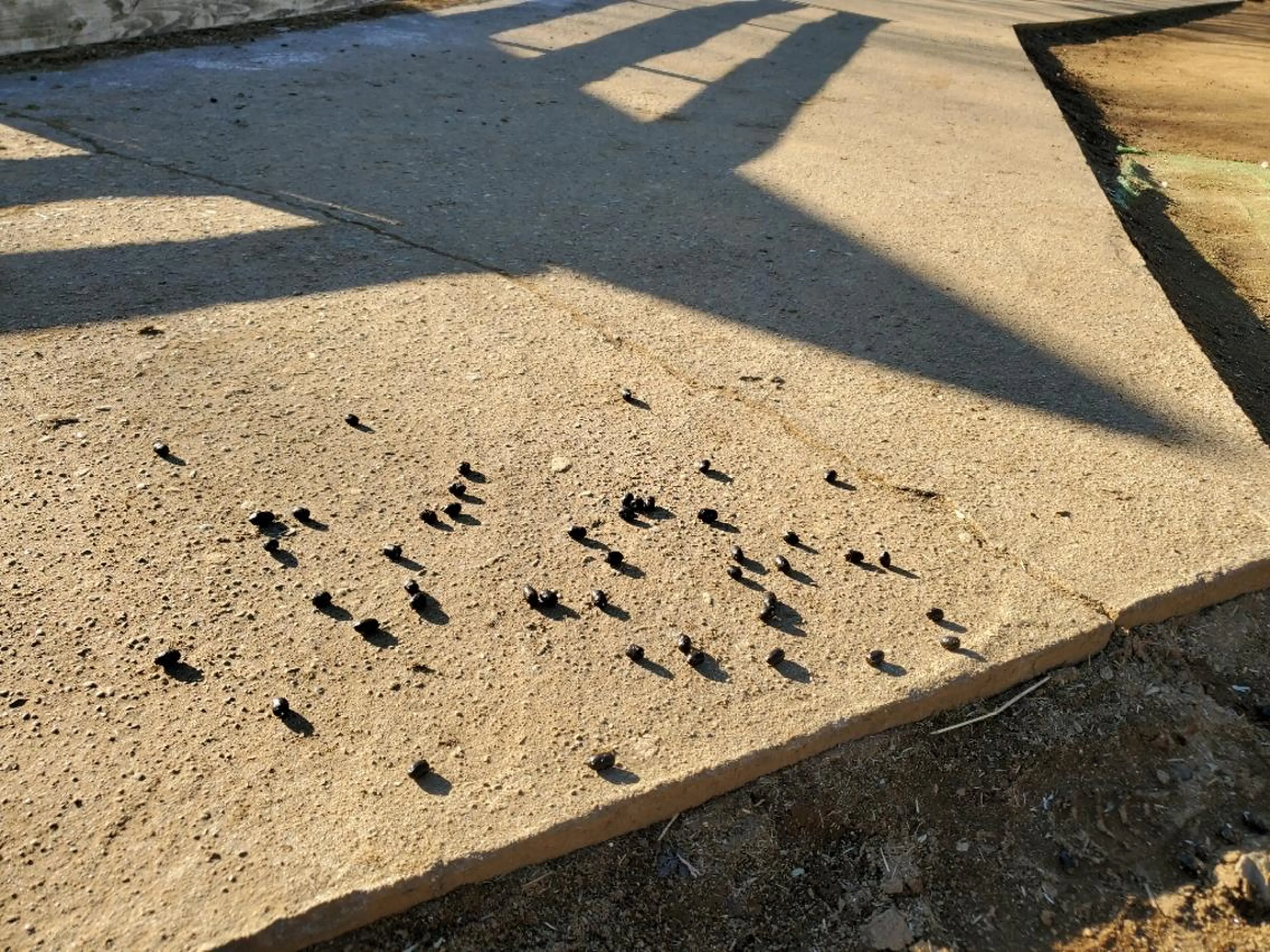 谷 結奈のヘアスタイル